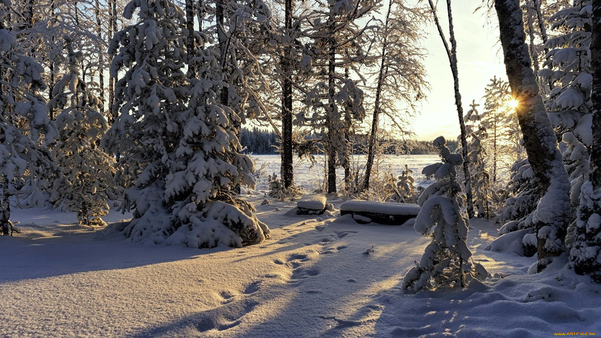 природа, парк, горы, река