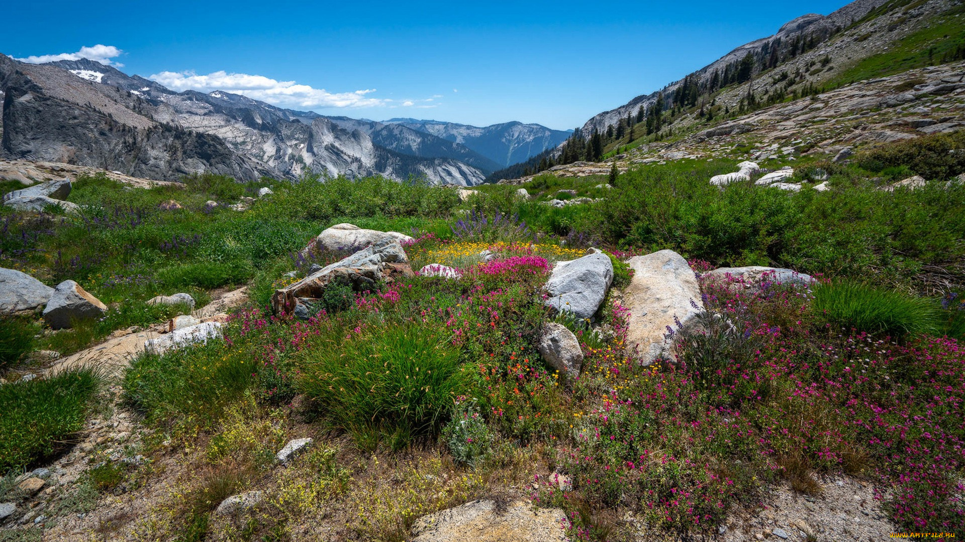 природа, пейзажи, простор