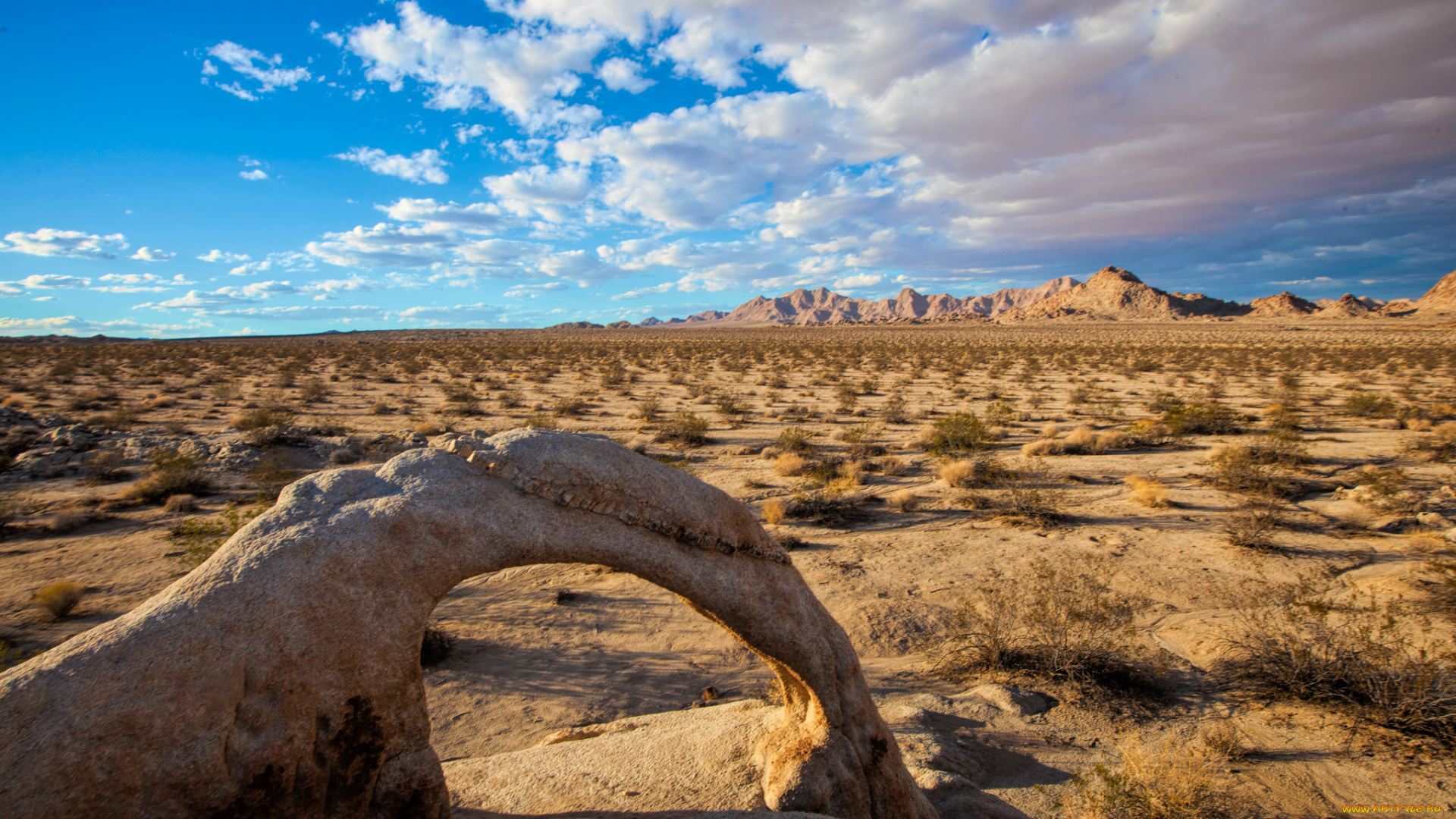 природа, пустыни, простор