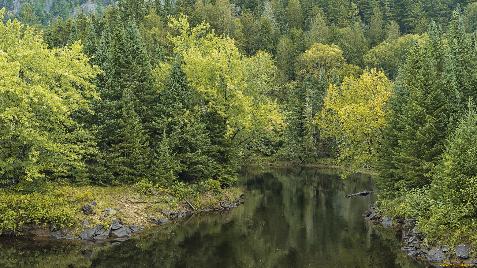 природа, реки, озера, простор