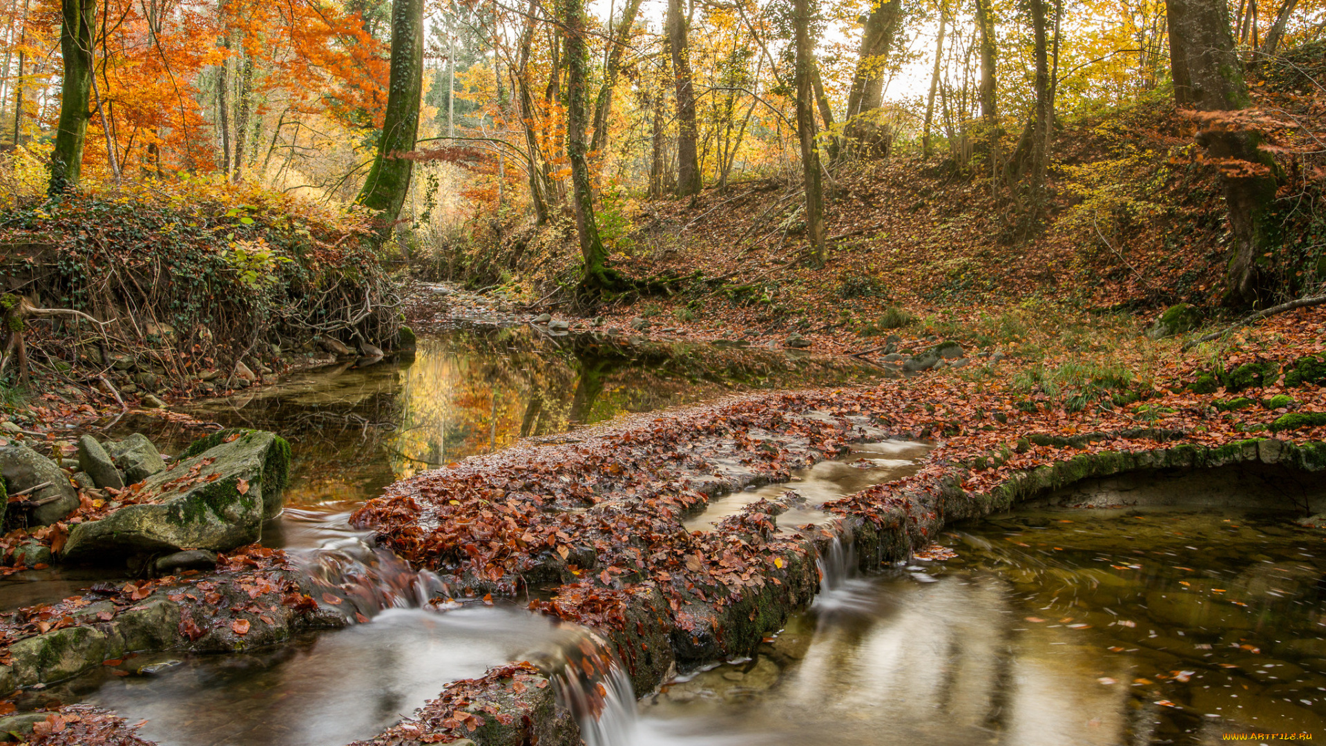 природа, реки, озера, простор