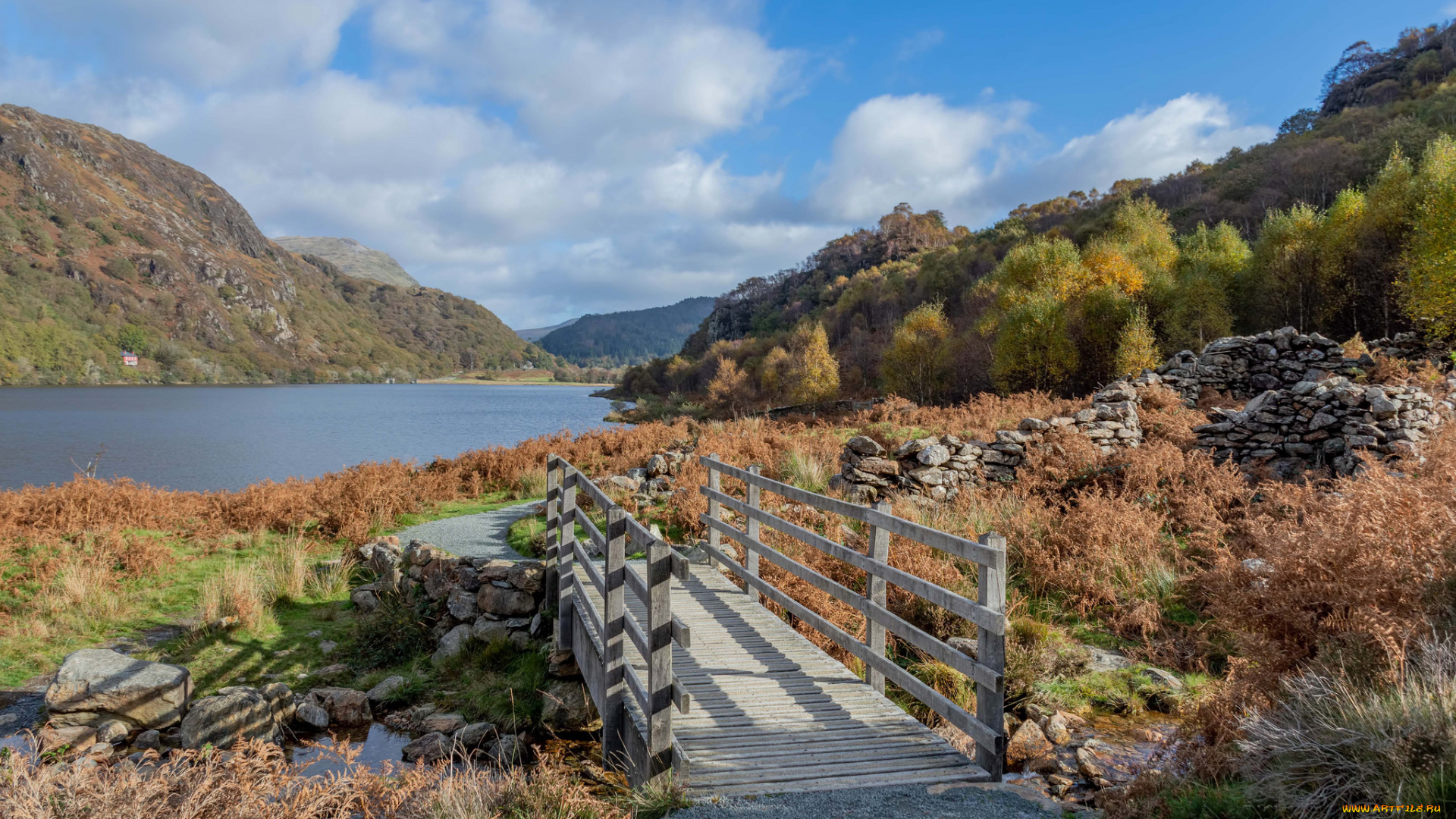 природа, реки, озера, простор