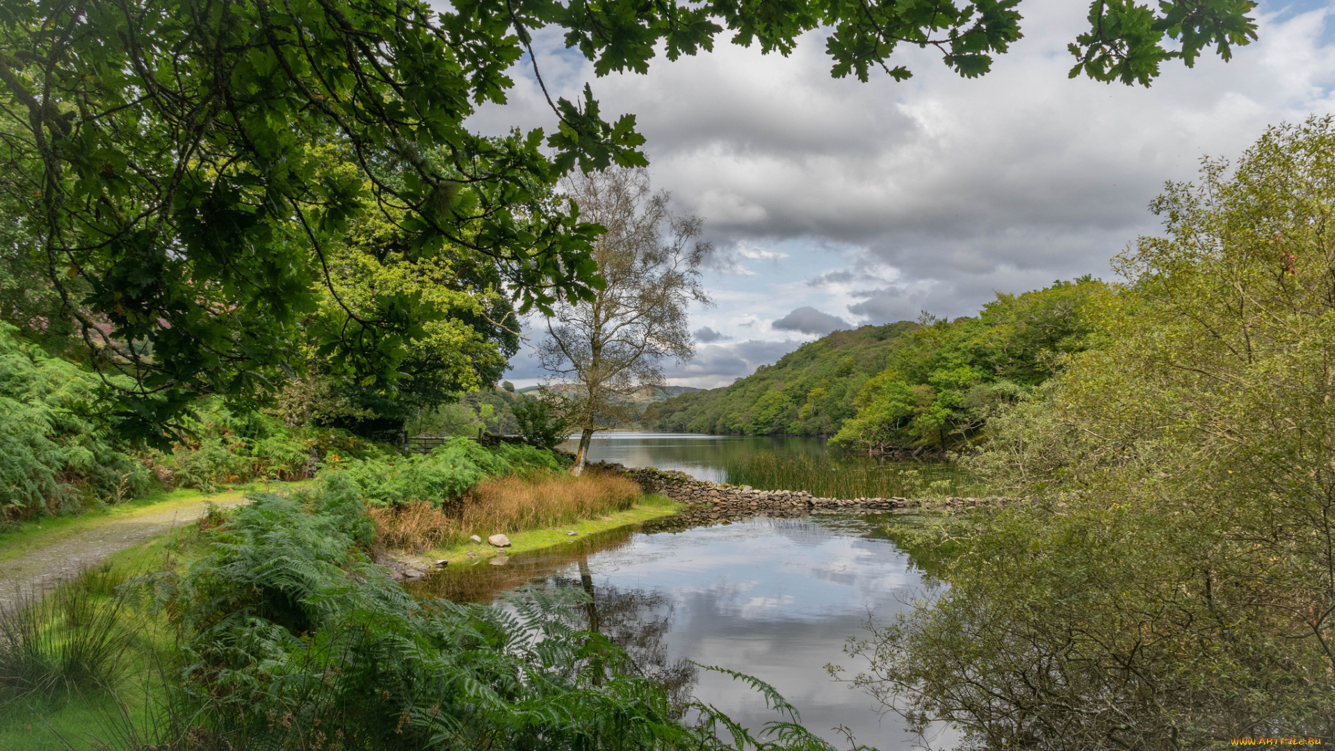 природа, реки, озера, простор