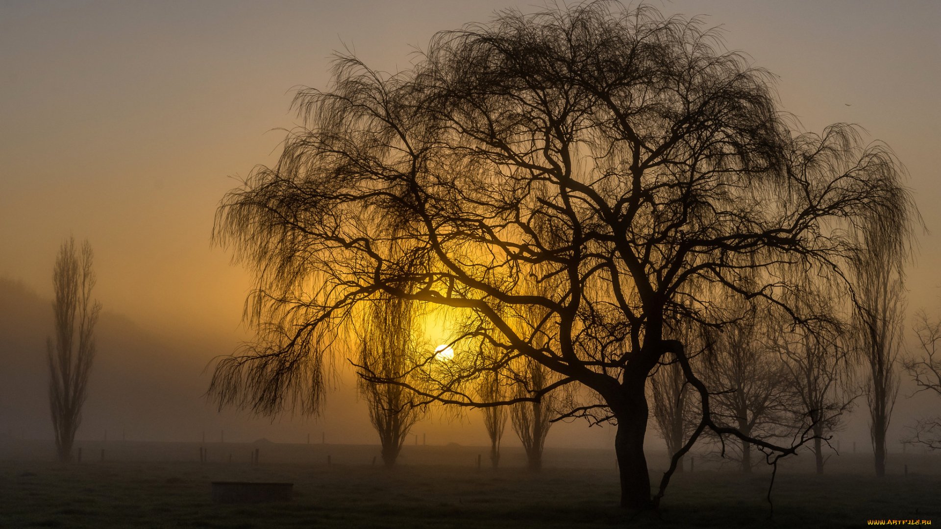 природа, восходы, закаты, простор