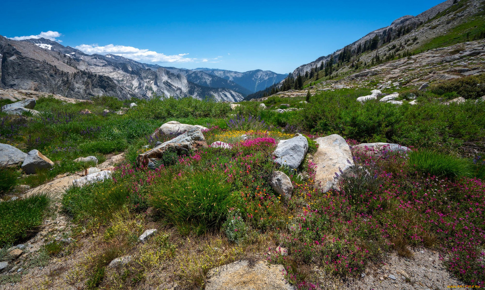 природа, пейзажи, простор