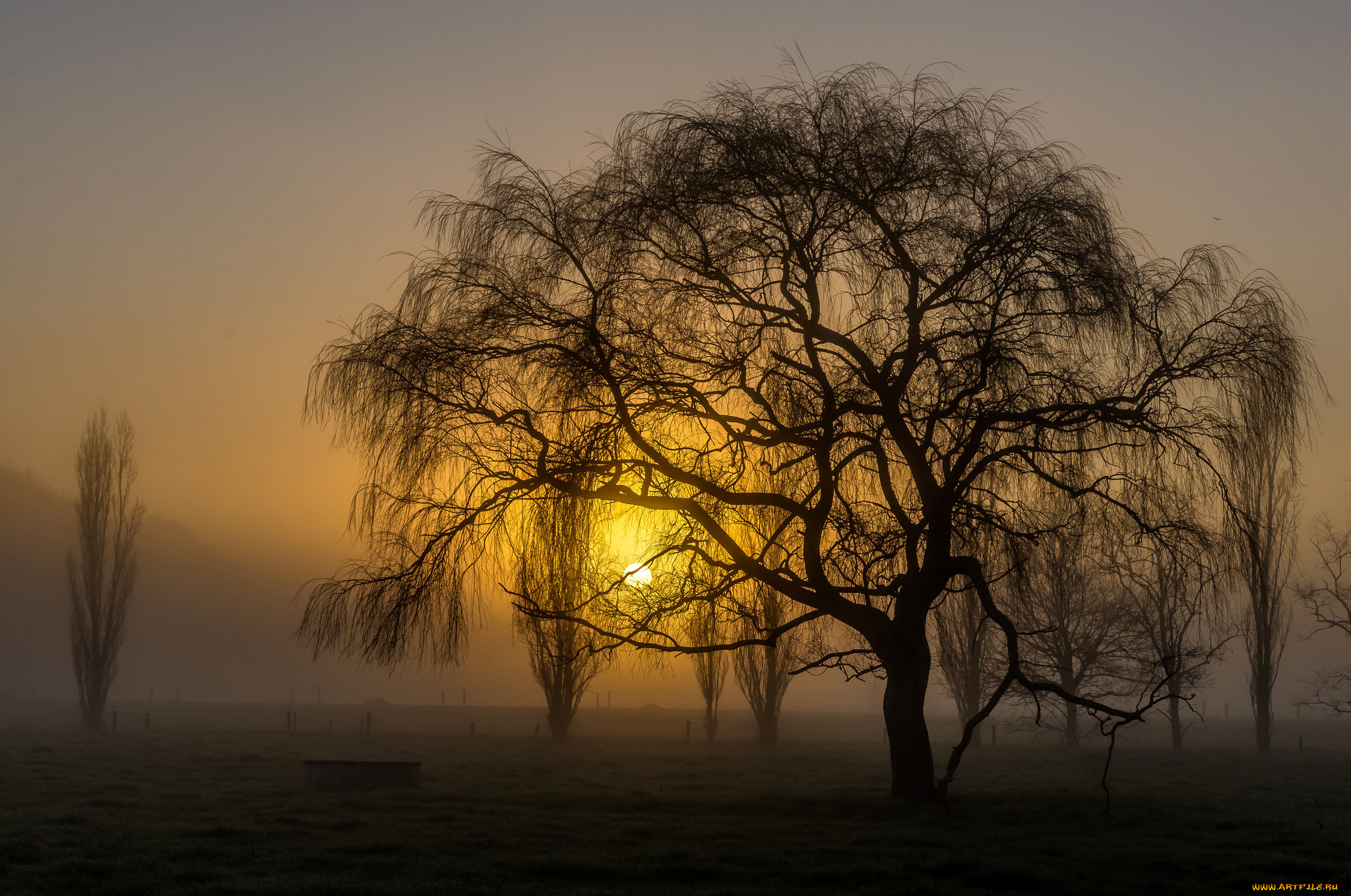 природа, восходы, закаты, простор