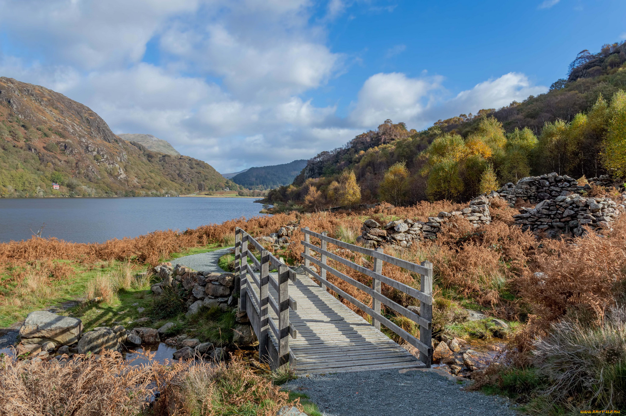 природа, реки, озера, простор