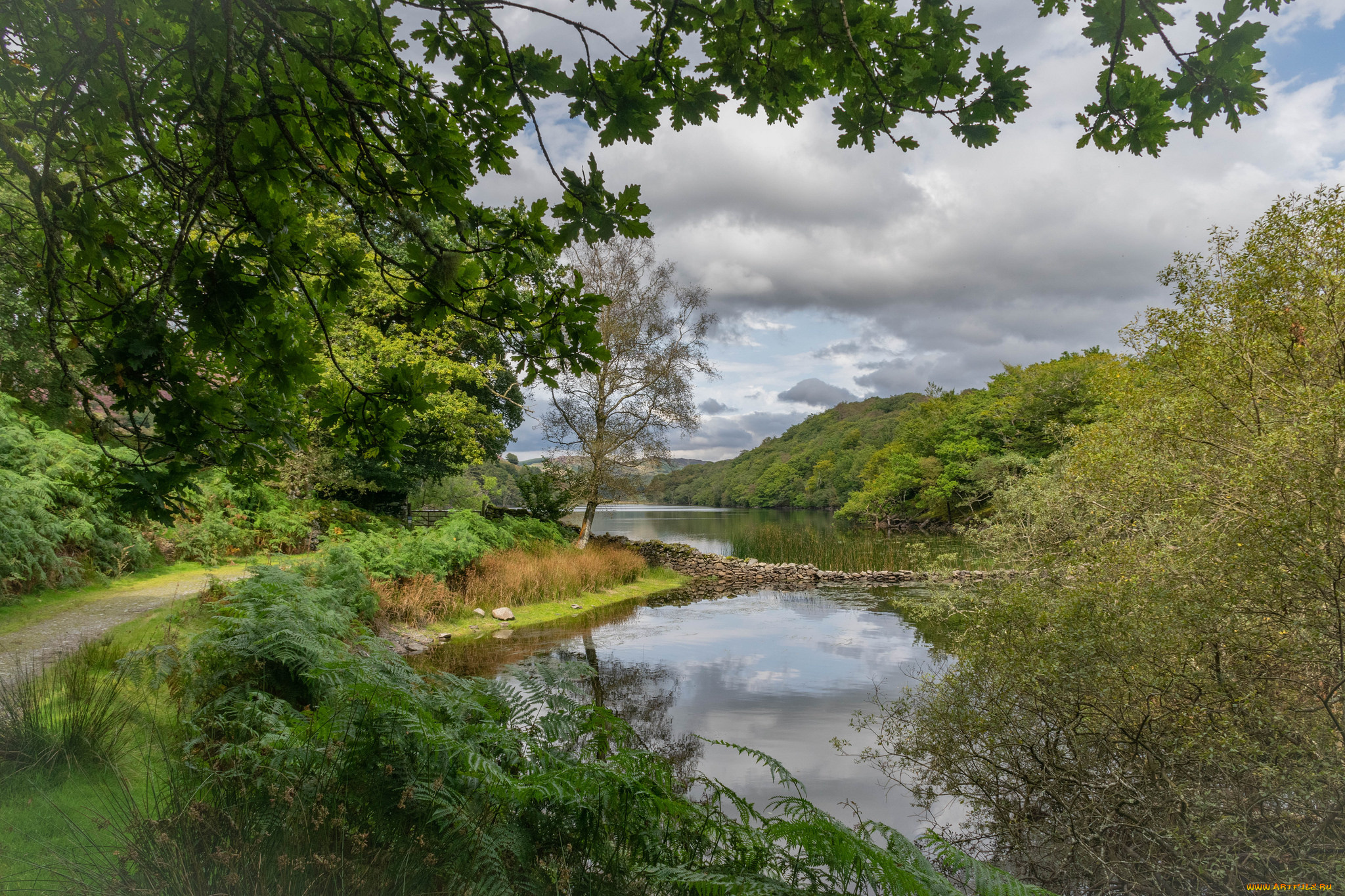 природа, реки, озера, простор