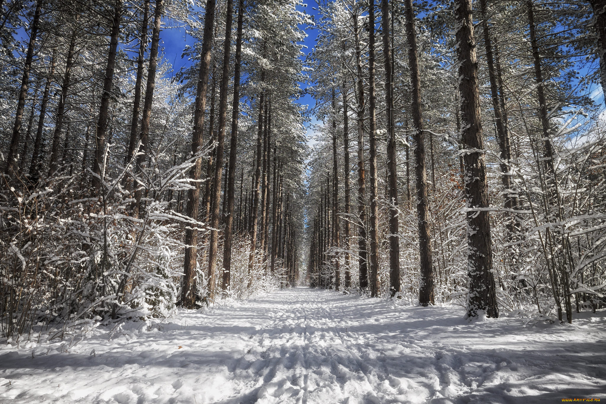 природа, зима, простор