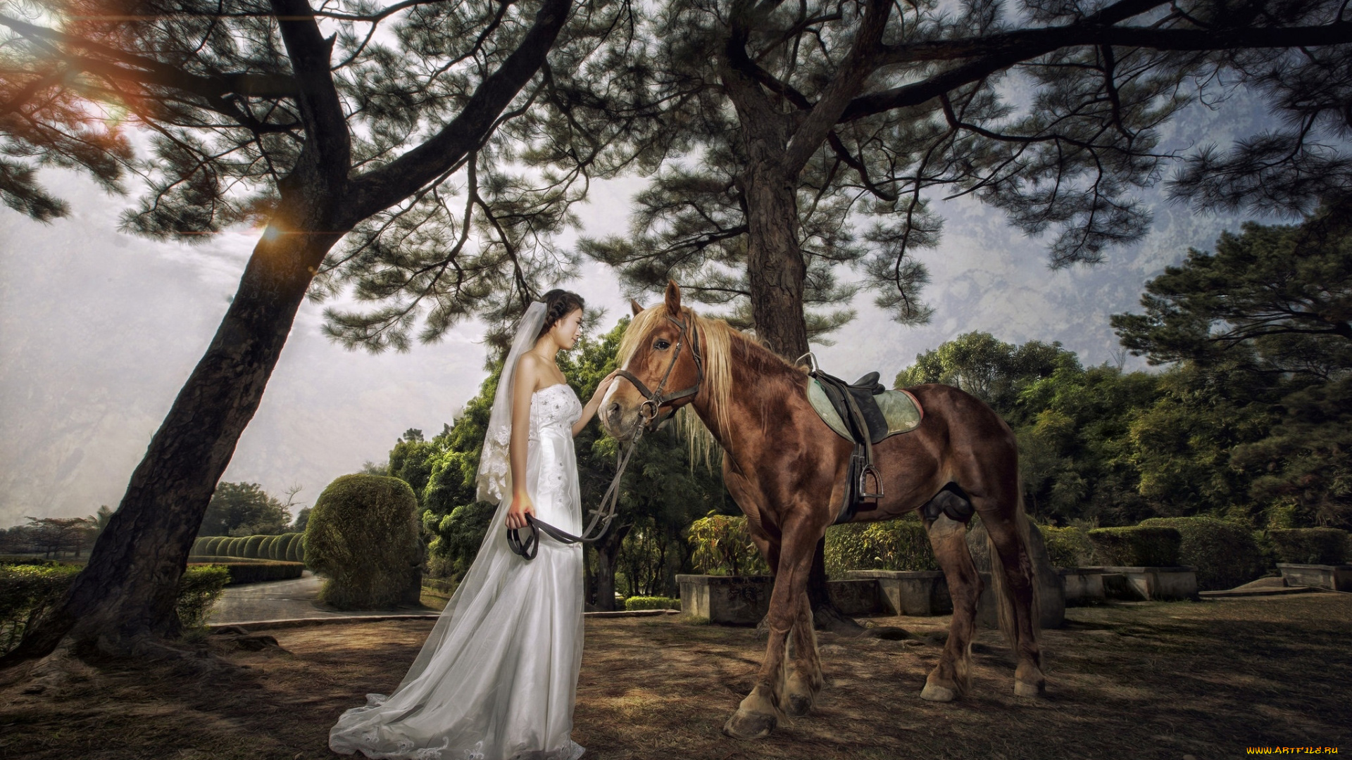 девушки, -, невесты, невеста