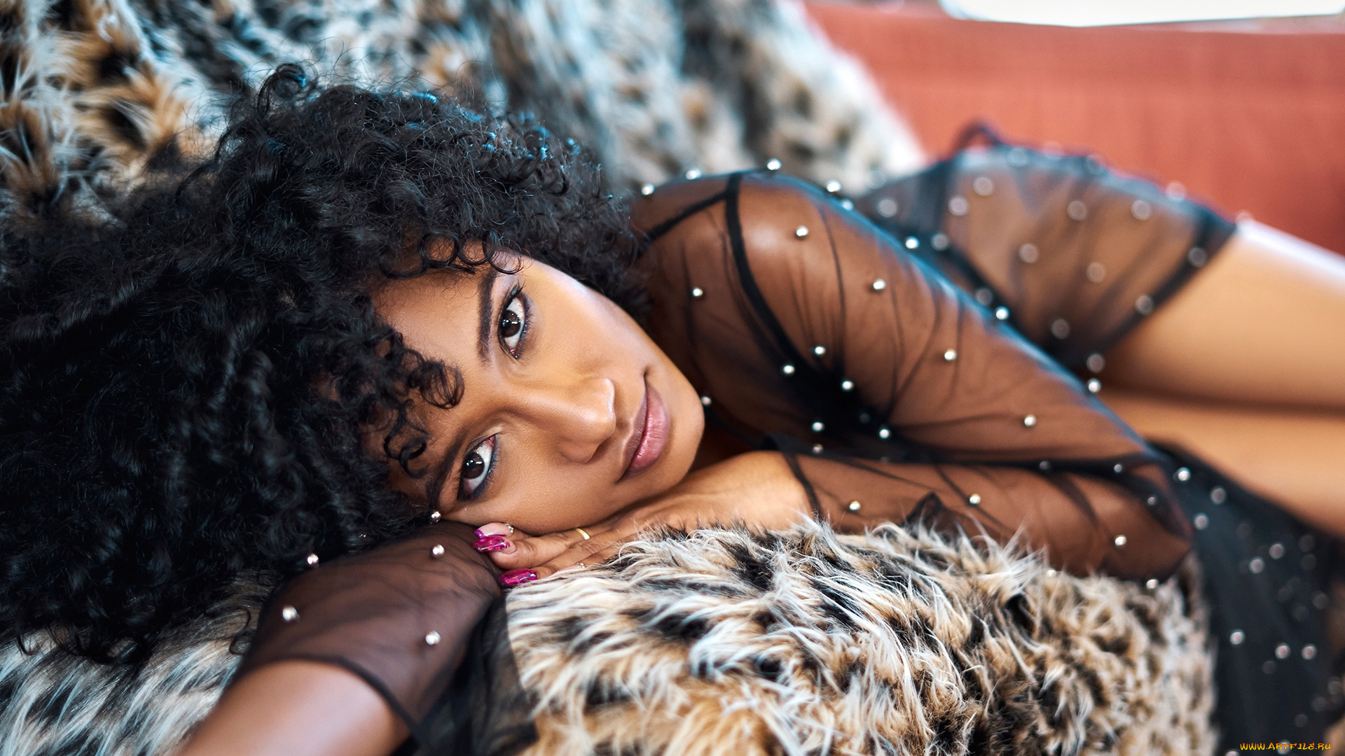 девушки, -, темнокожие, shenelle, ramlogan