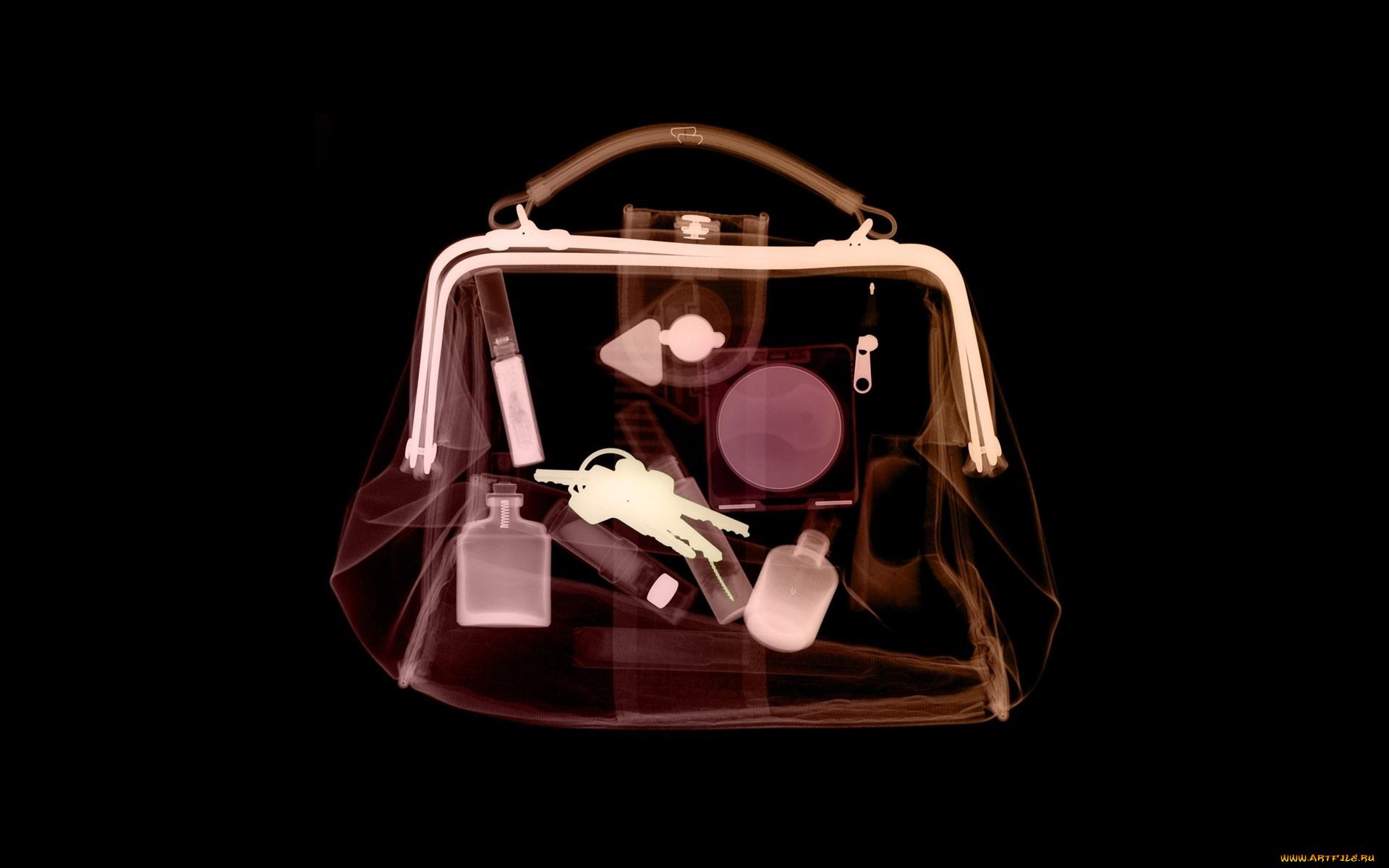 разное, кости, , рентген, сумка, вещи