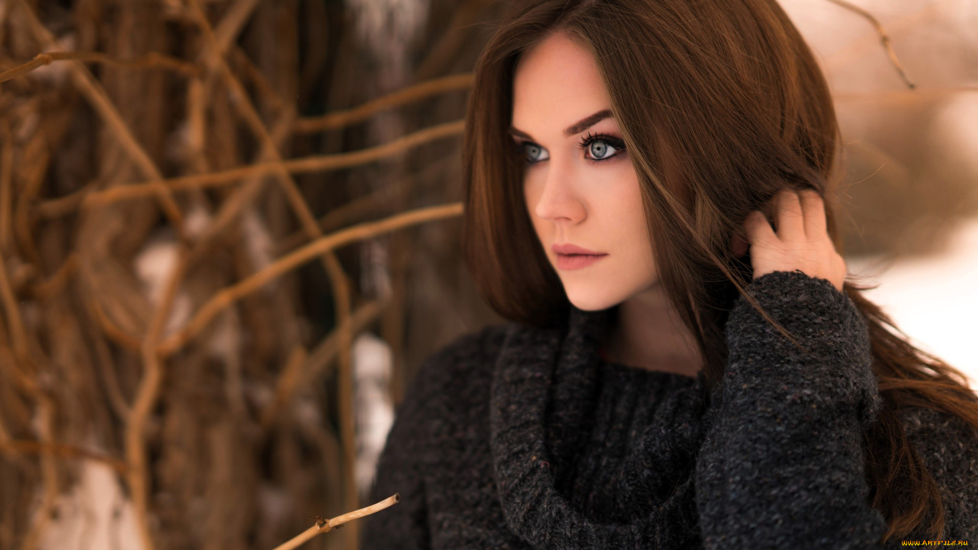 девушки, -, лица, , портреты, лицо, шатенка, свитер, кусты, снег