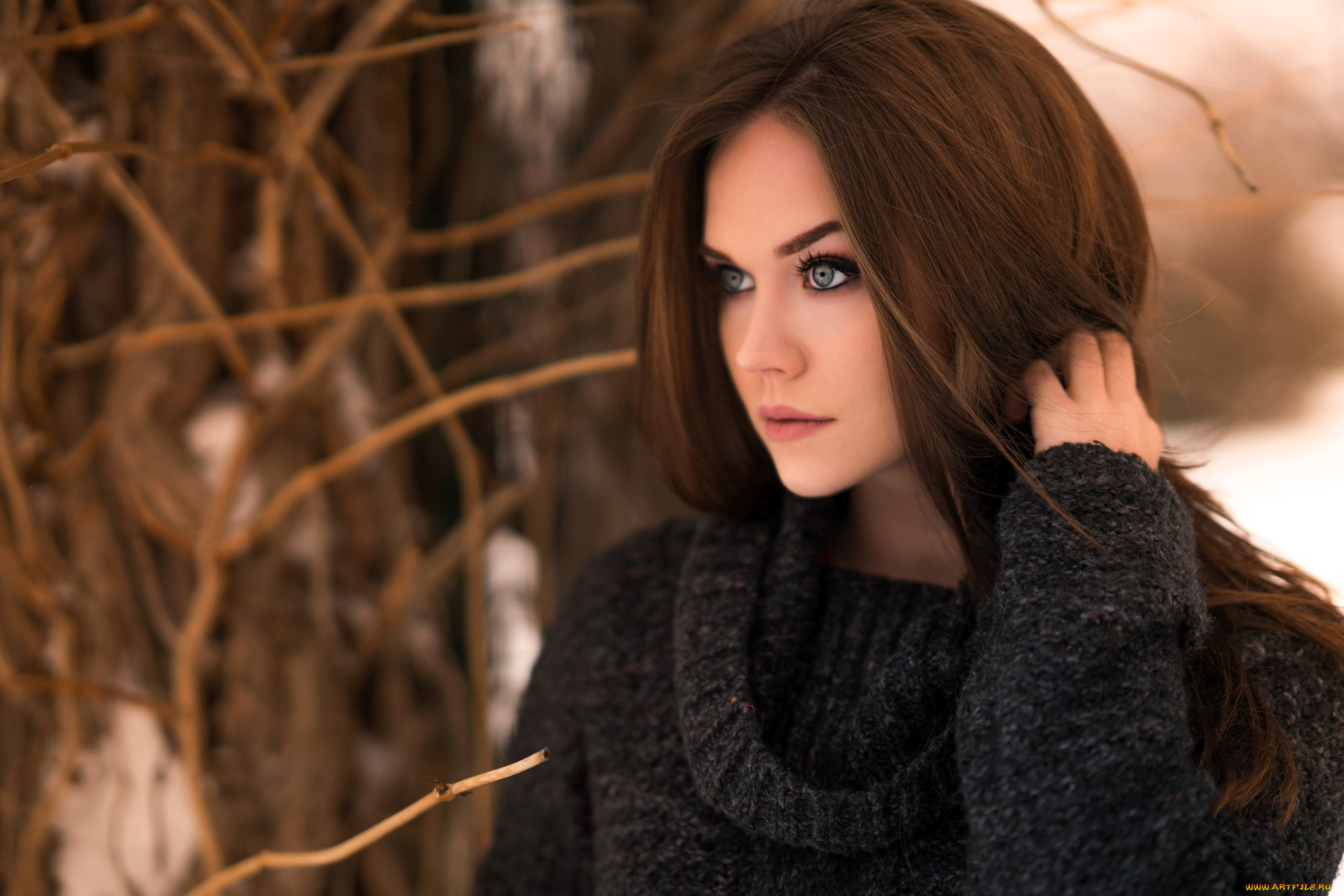 девушки, -, лица, , портреты, лицо, шатенка, свитер, кусты, снег