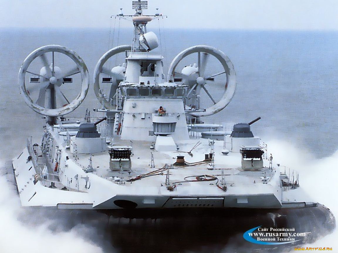 зубр, корабли, другое