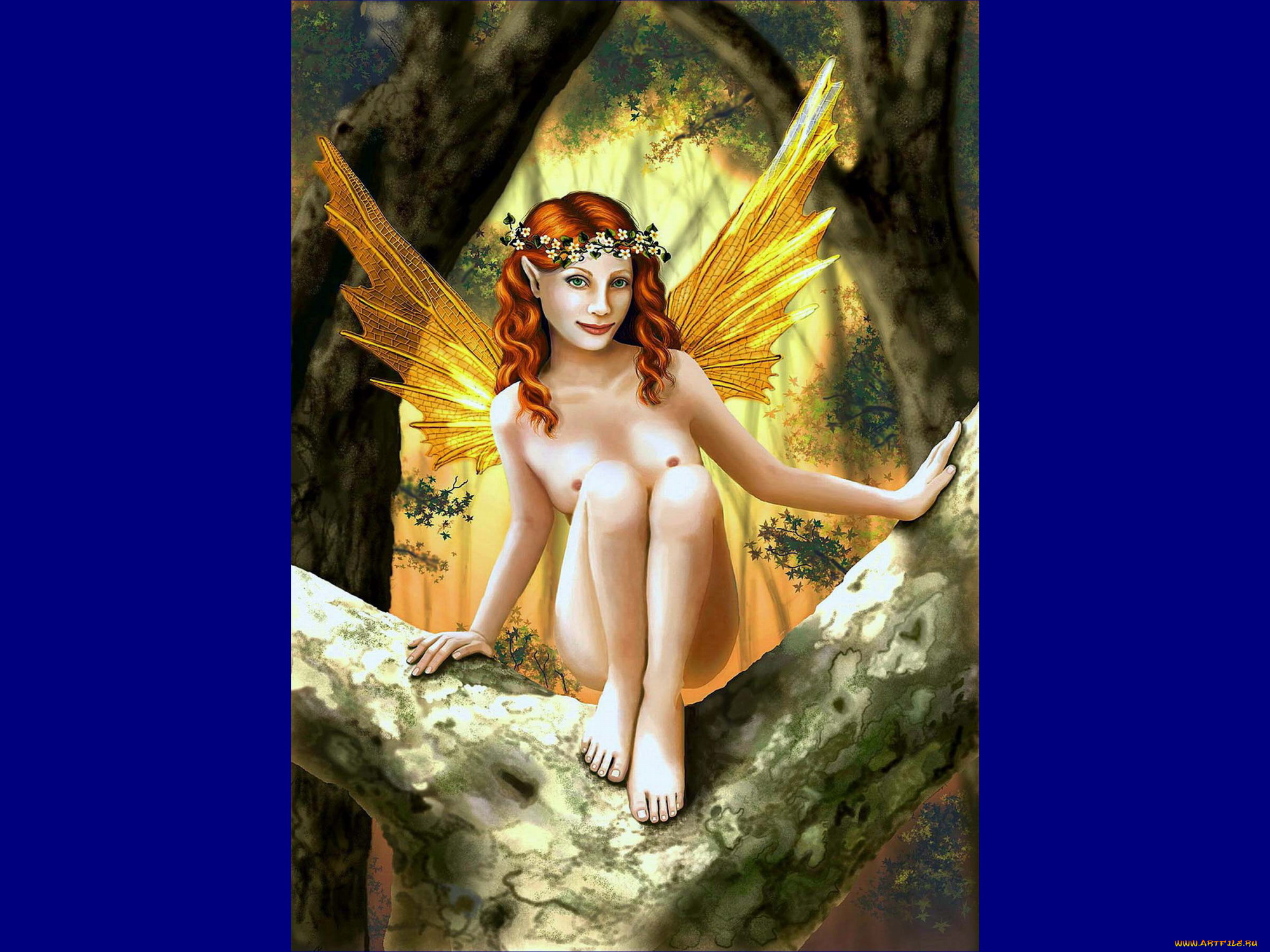 дневной, мотылек, v, , фэнтези, феи