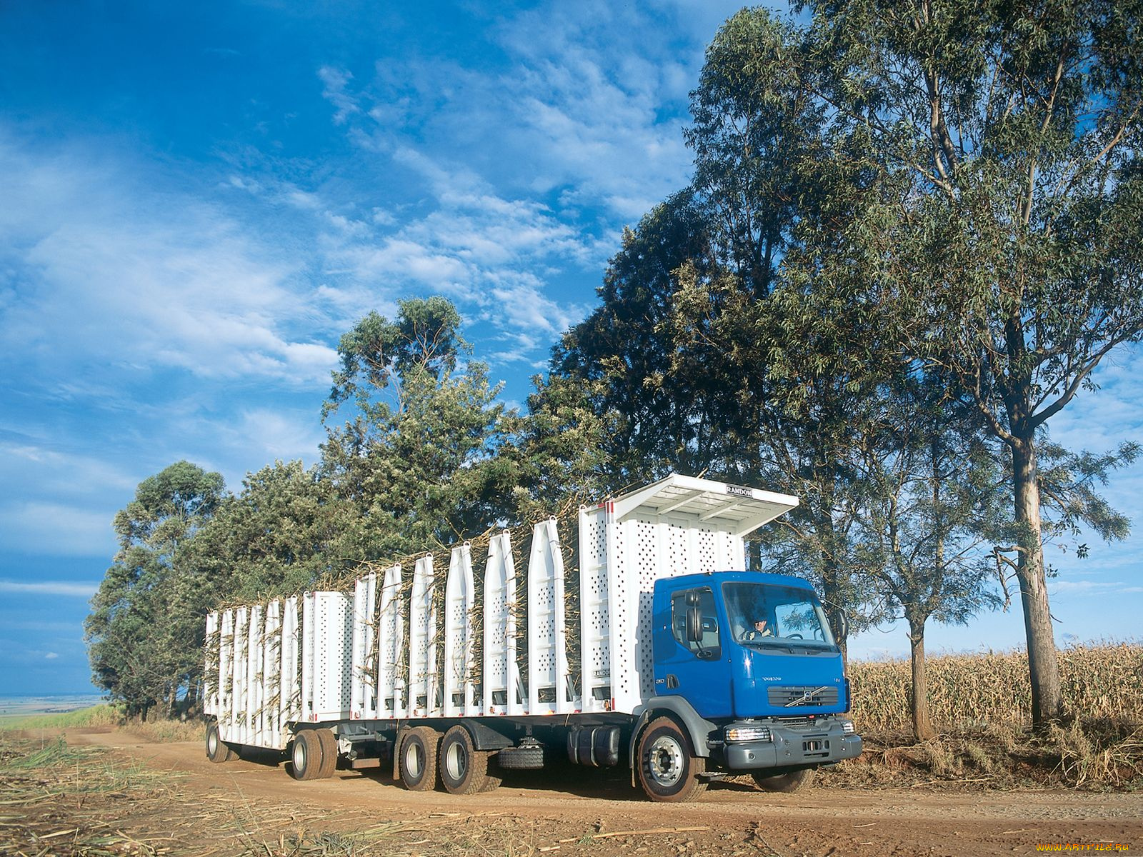 автомобили, volvo, trucks