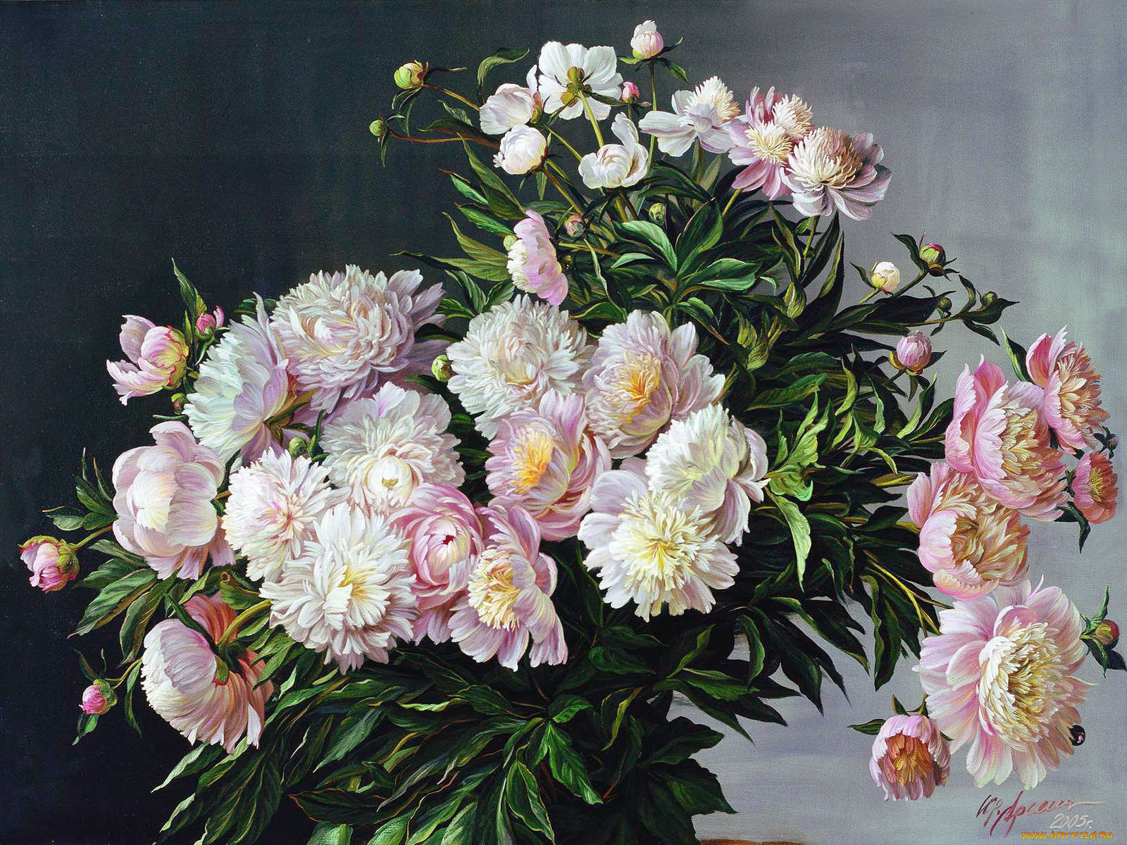 рисованные, zbigniew, kopania