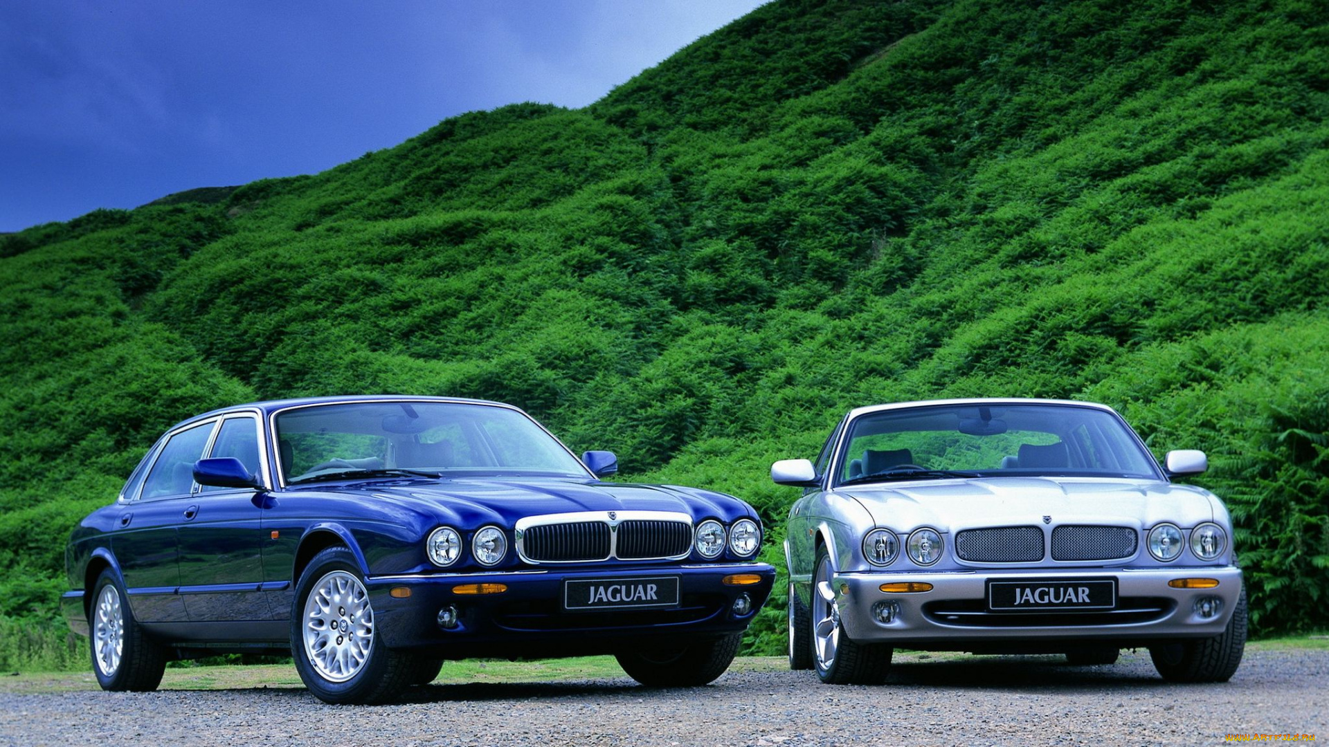 автомобили, jaguar