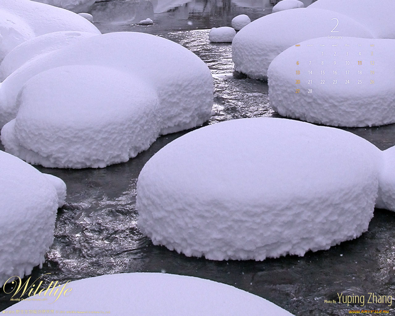 календари, природа