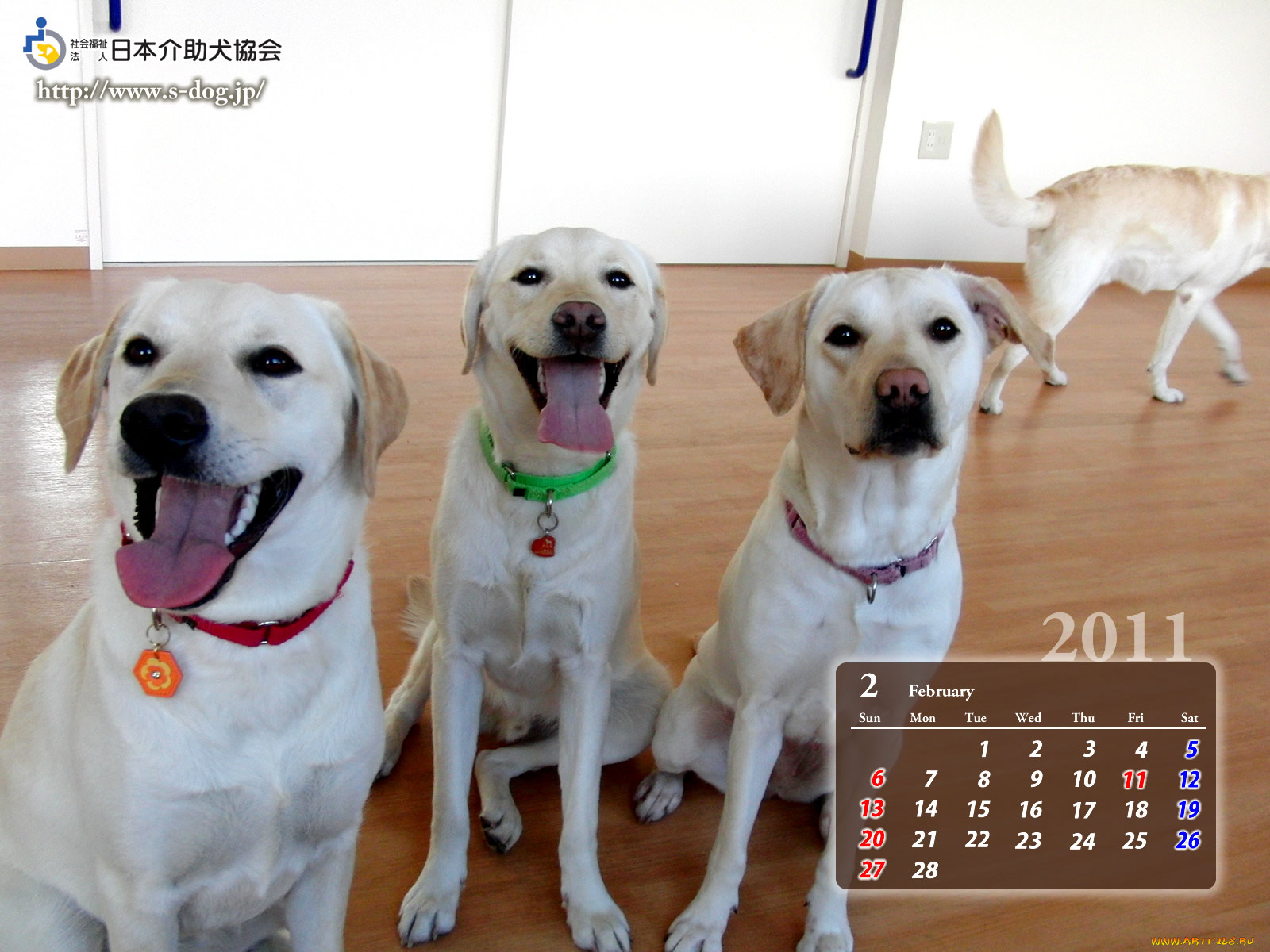 календари, животные