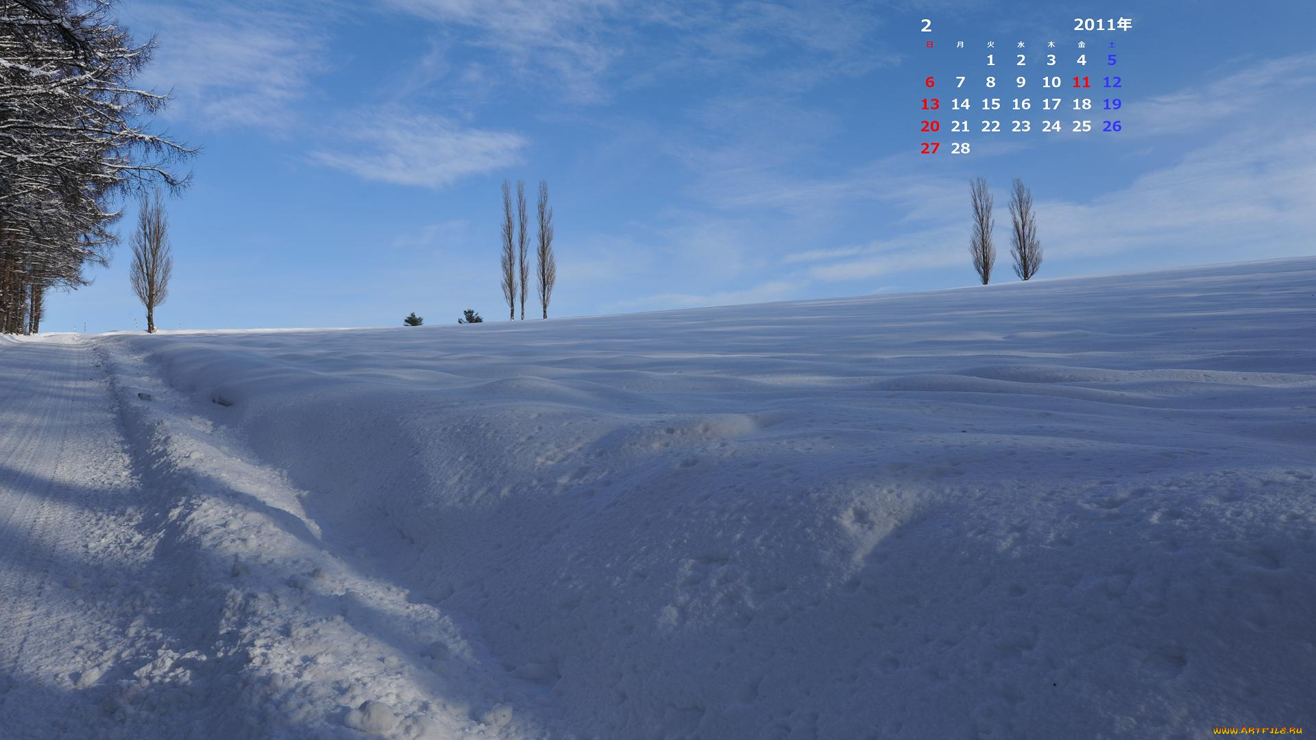 календари, природа