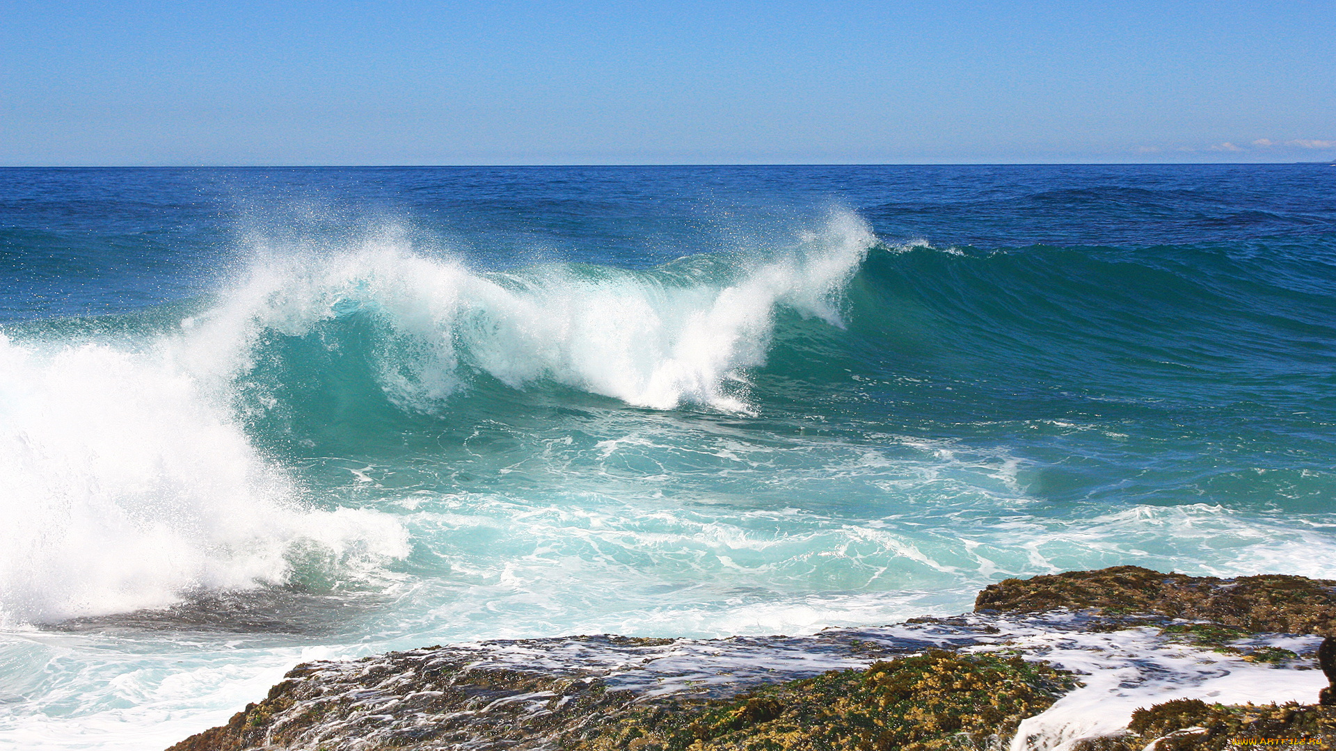 природа, моря, океаны