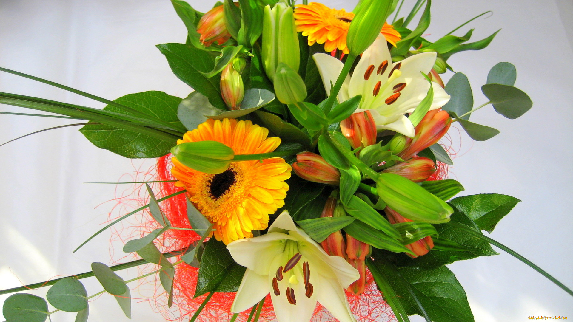 цветы, букеты, композиции, гербера, лилии