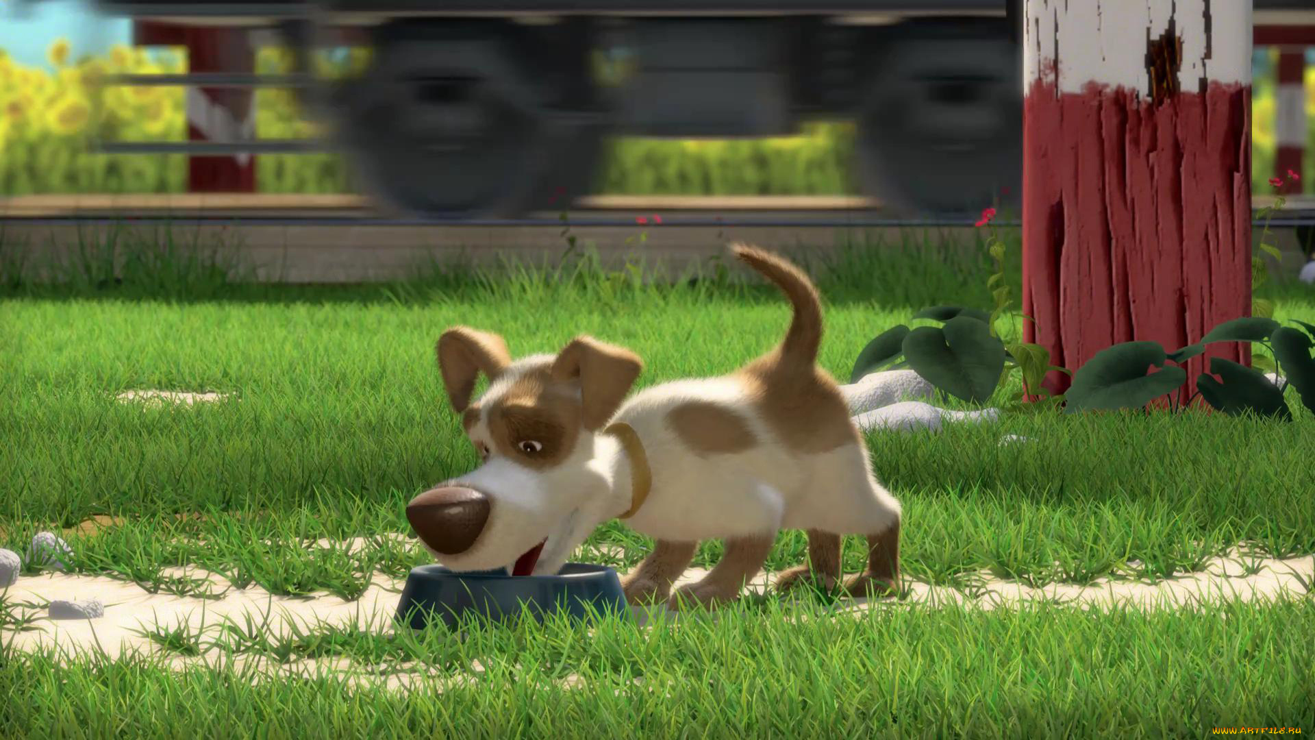 мультфильмы, маша, медведь, собака, щенок