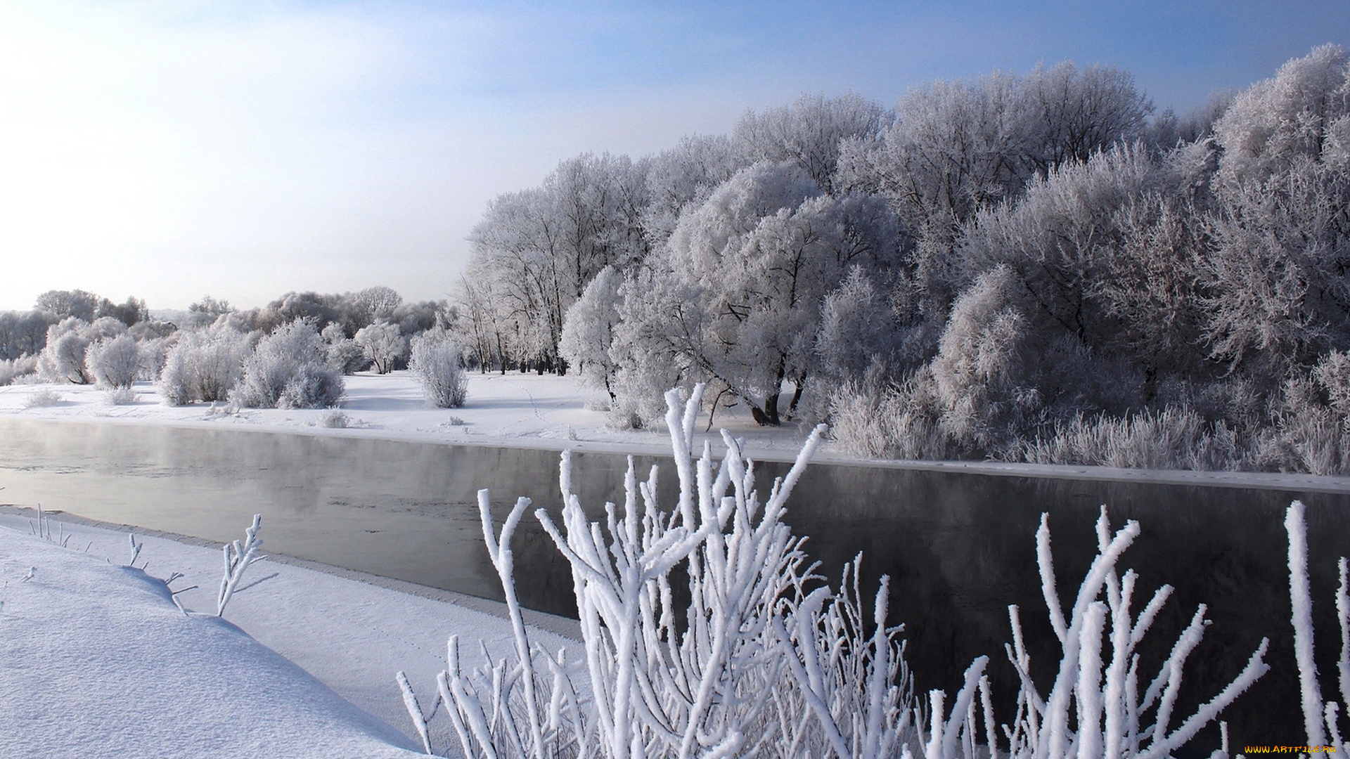 природа, зима, река, деревья, снег