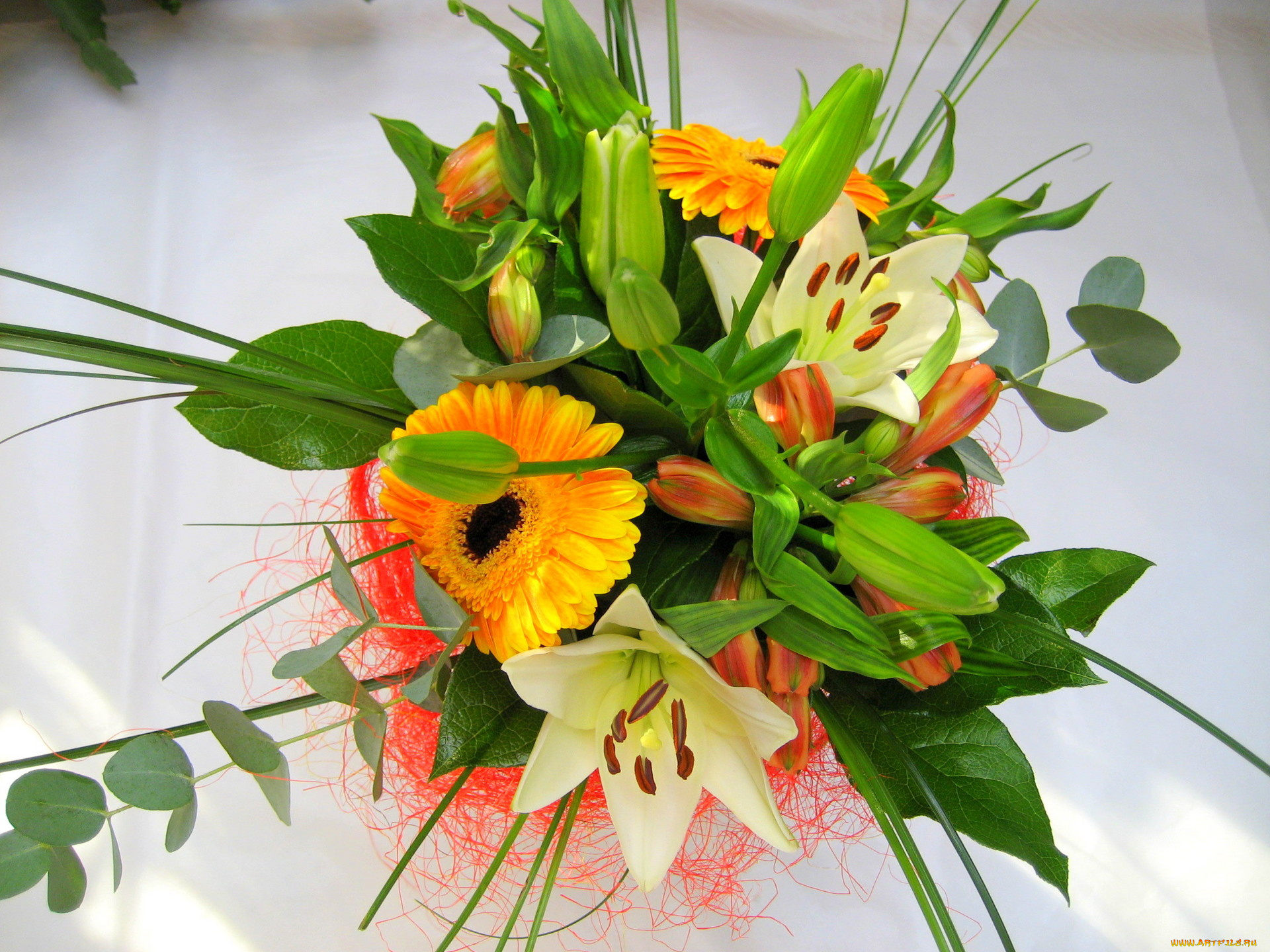 цветы, букеты, композиции, гербера, лилии