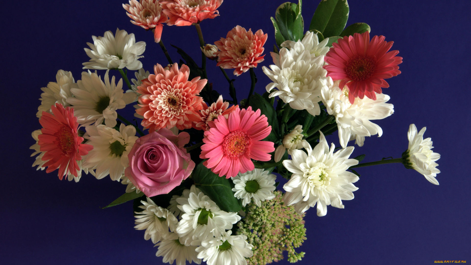 цветы, букеты, композиции, герберы, розы, хризантемы
