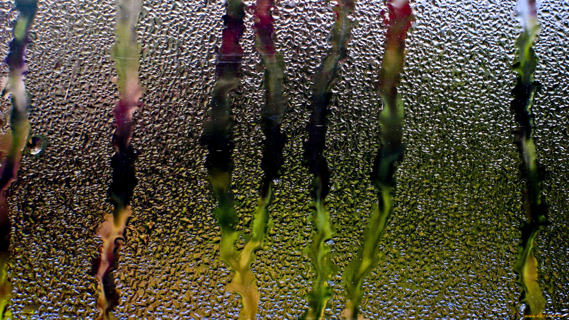 разное, капли, брызги, всплески, вода, потеки, стекло