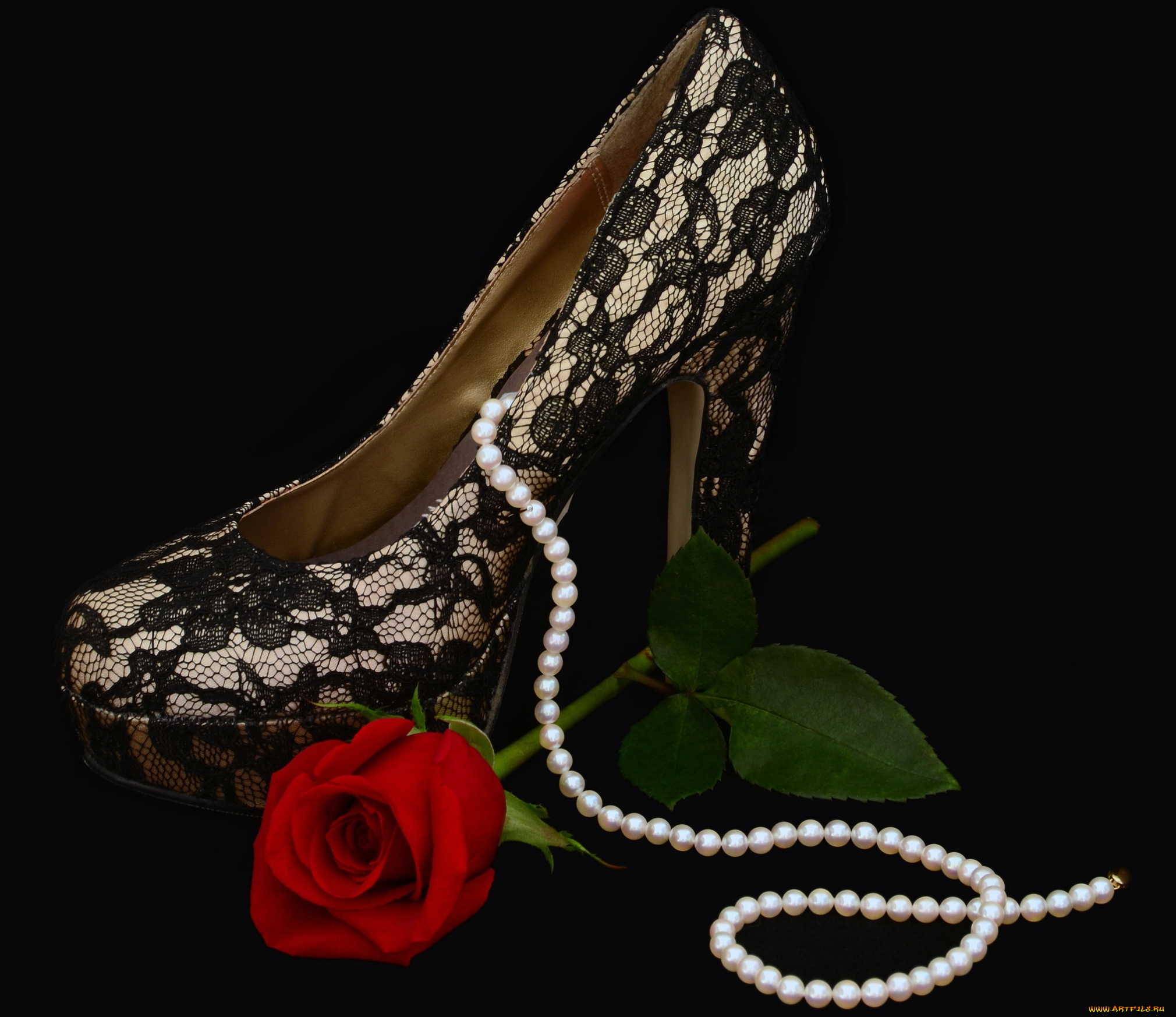 разное, одежда, обувь, текстиль, экипировка, туфля, роза, ожерелье