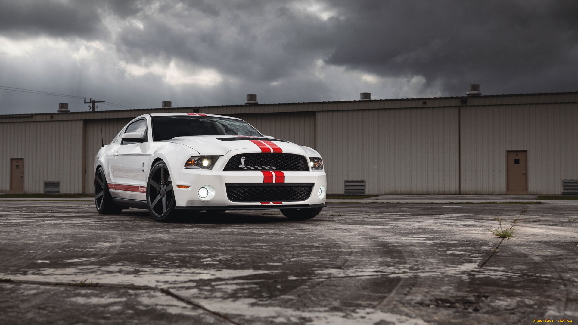 автомобили, mustang, shelby, ford, muscle, car, форд, мускул, кар, белый, gt500, мустанг