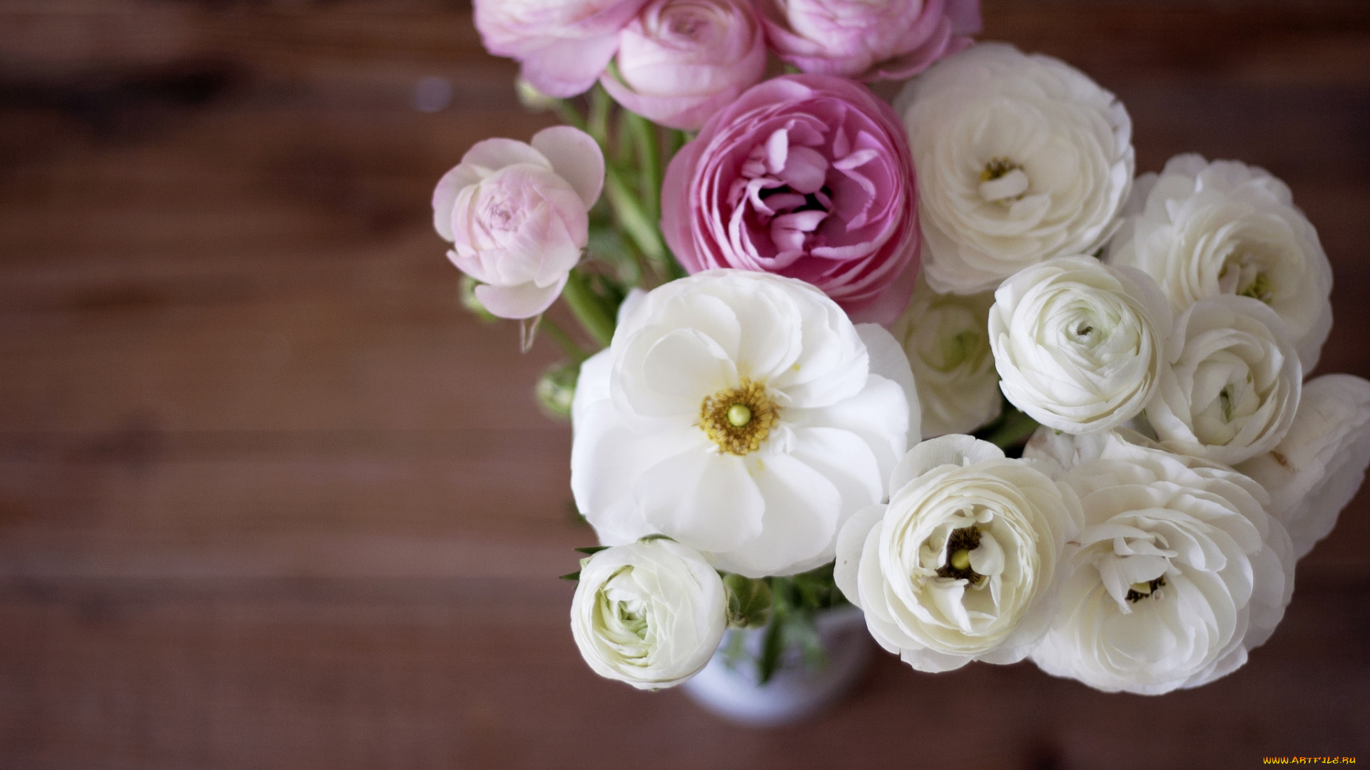 цветы, ранункулюс, , азиатский, лютик, букет