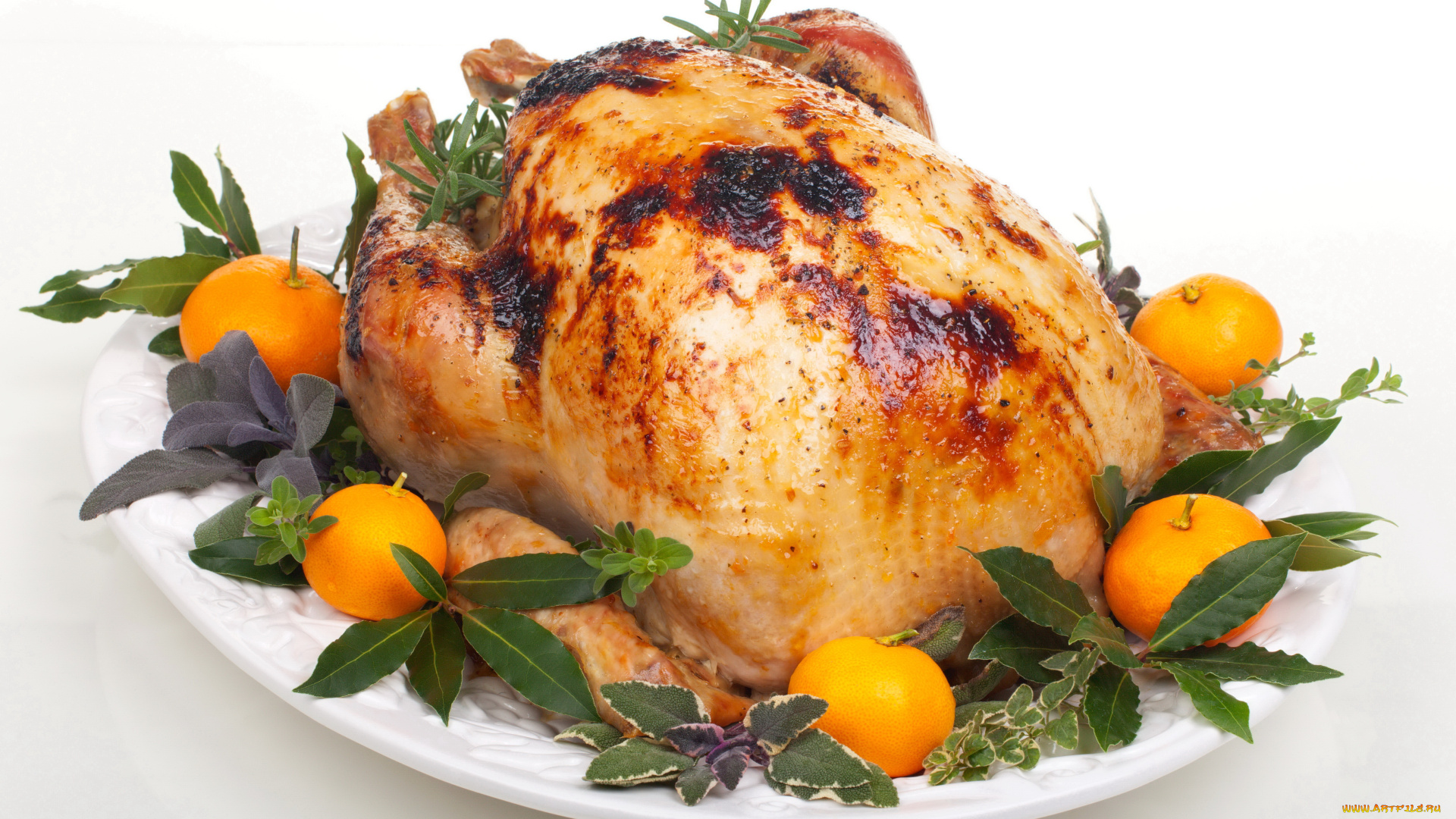 еда, мясные, блюда, зелень, апельсины, курица