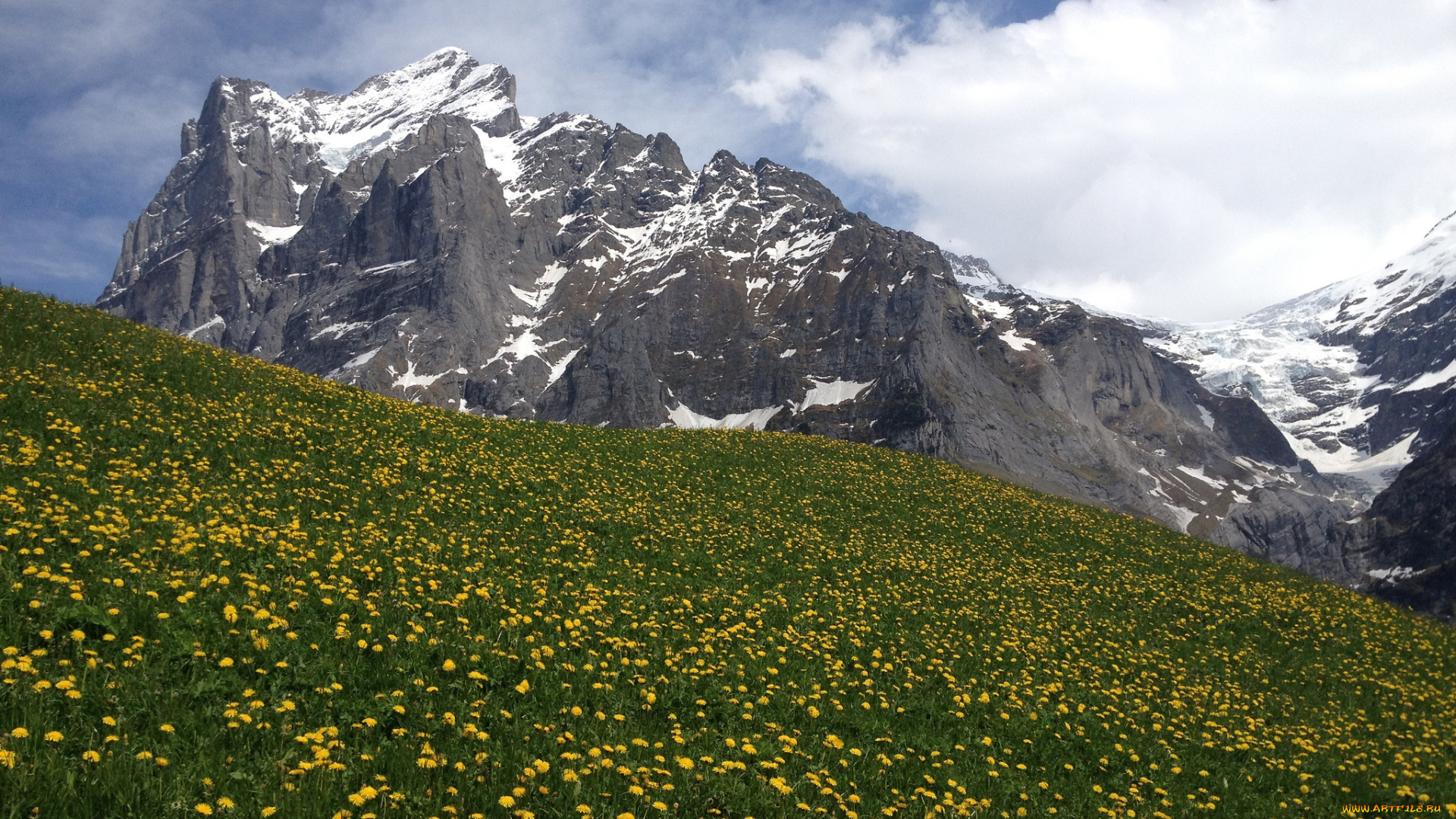 природа, луга, гриндельвальд, швейцария