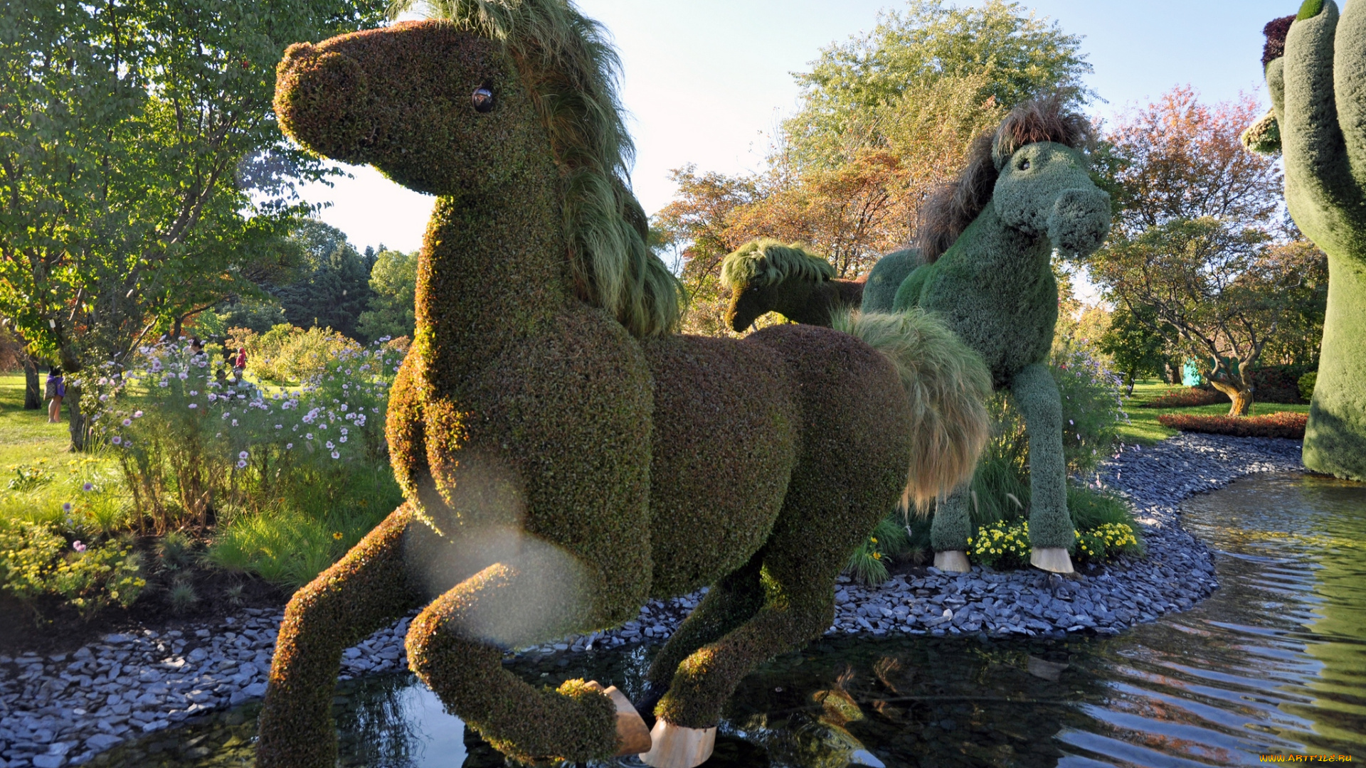 природа, парк, ботанический, выставка, калифорния, сад, квебек, монреаль