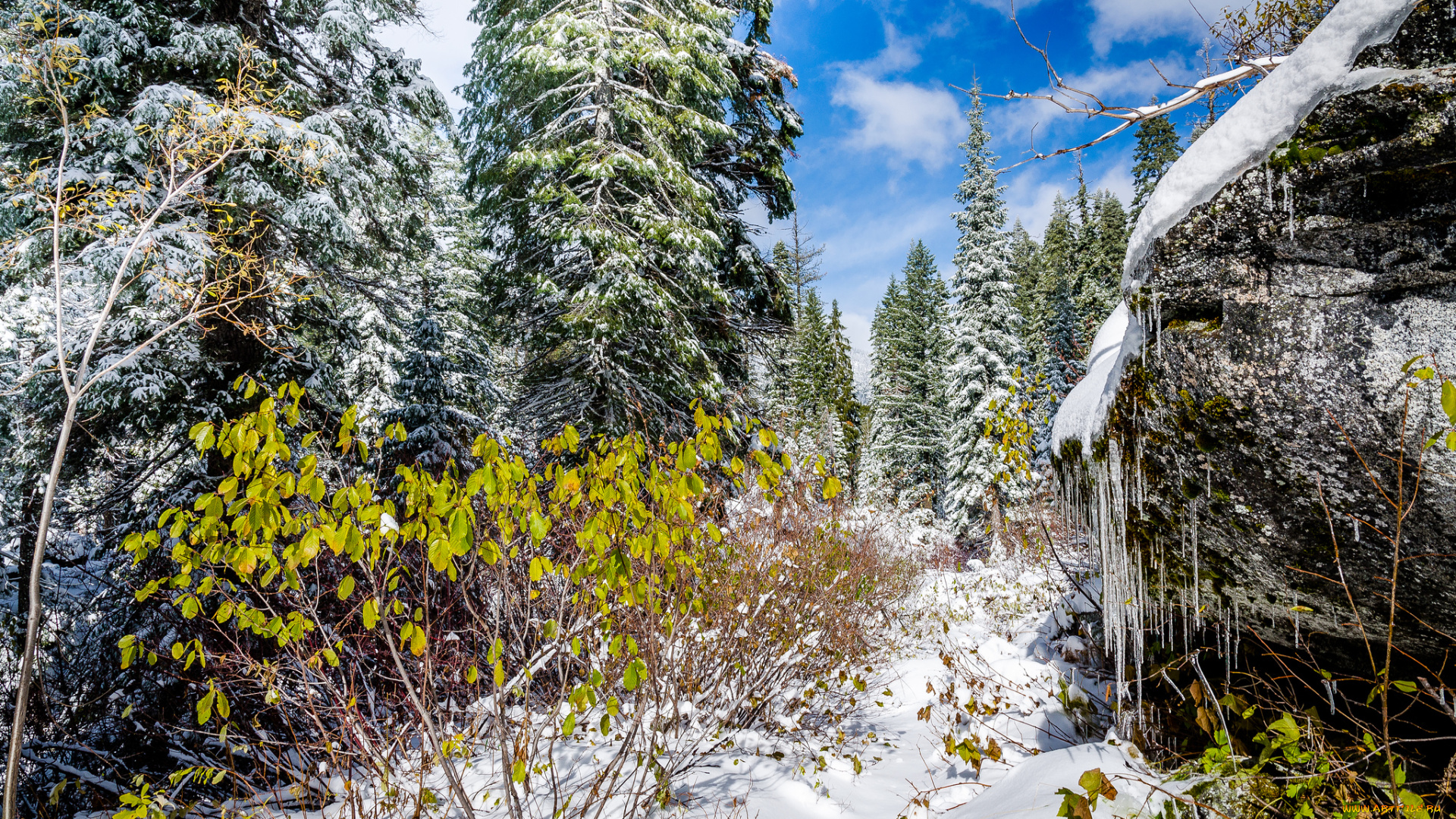 природа, зима, снег, валун, лес, сугробы