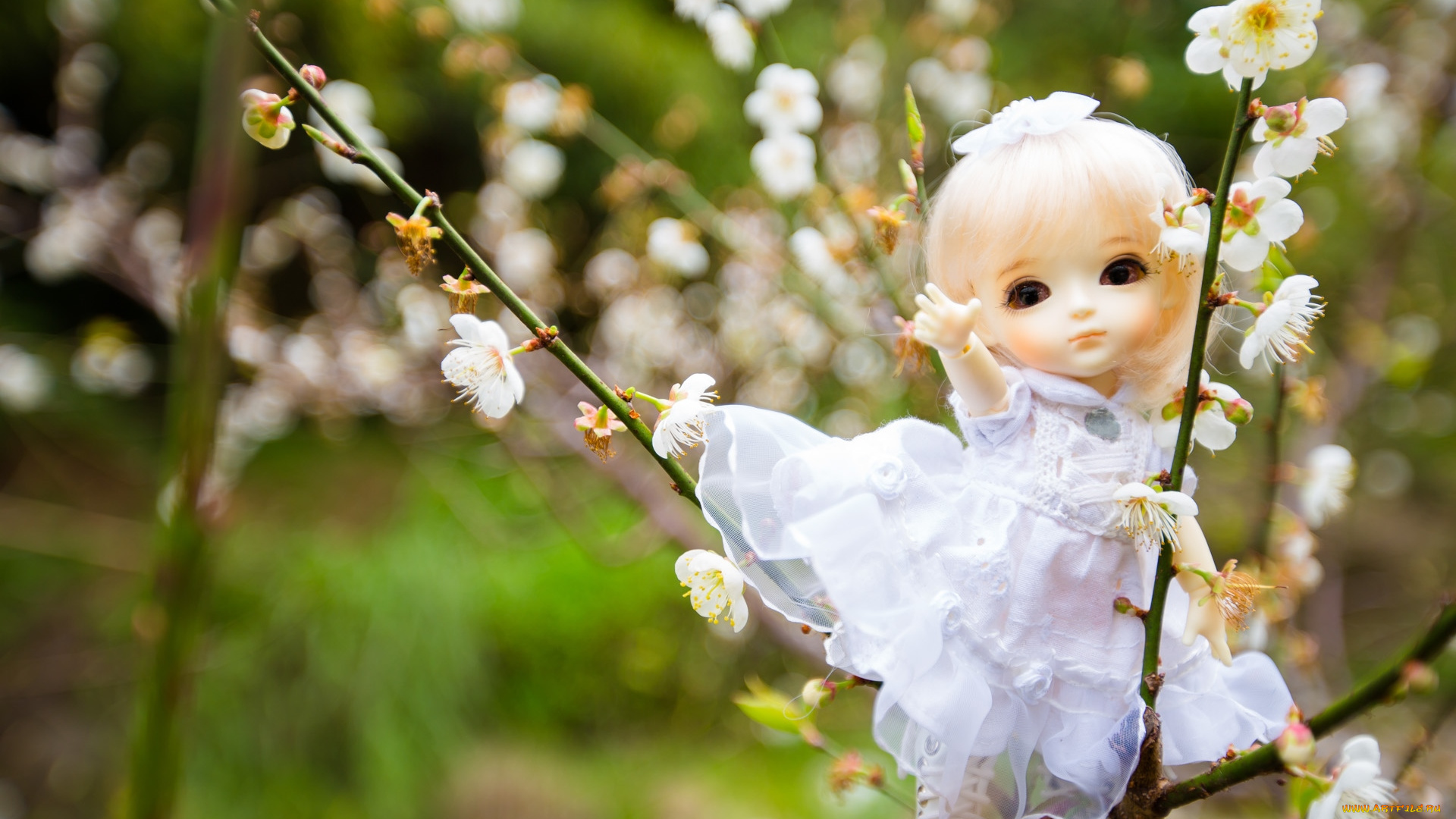 разное, игрушки, кукла