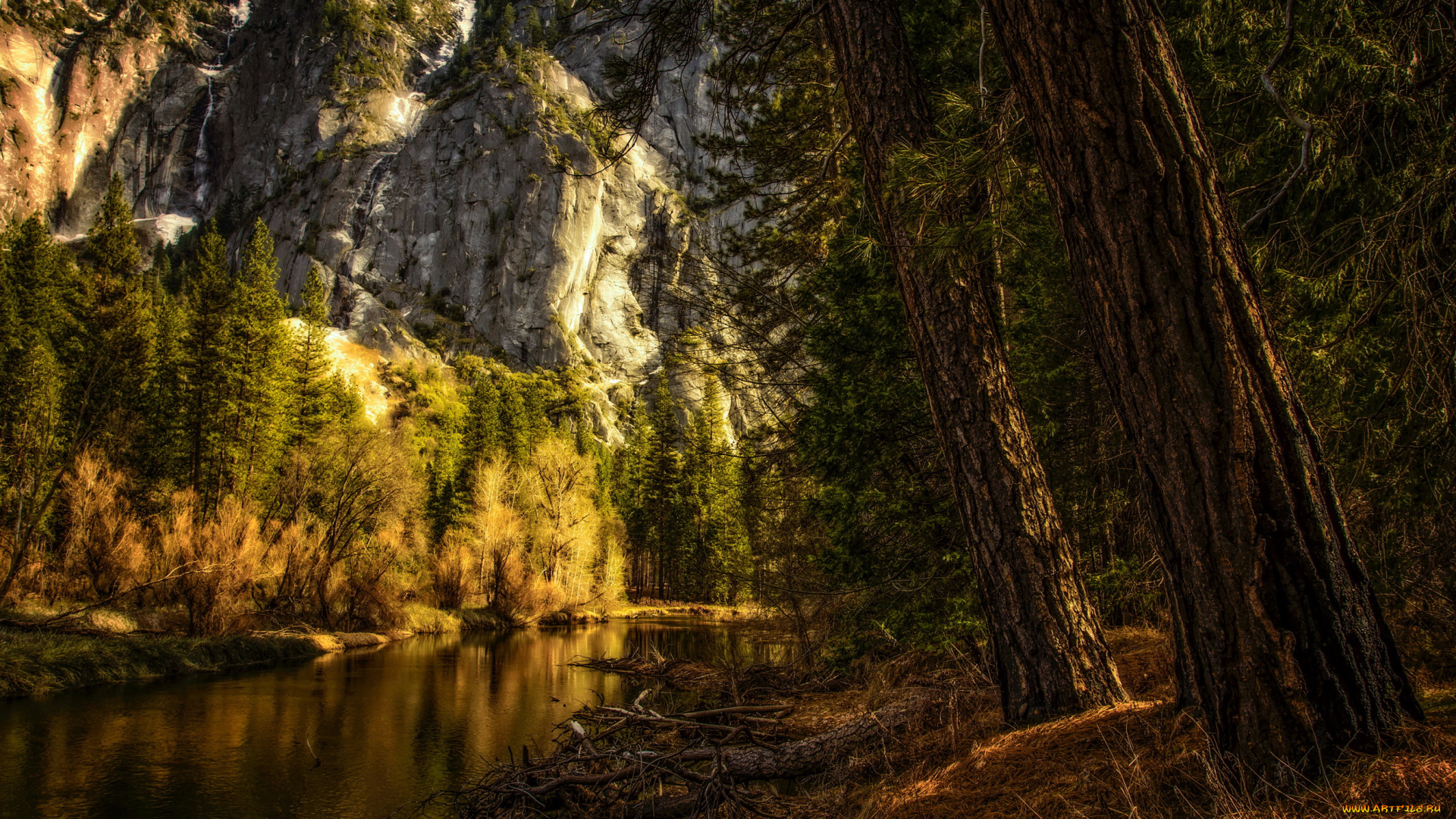 yosemite, national, park, california, природа, реки, озера, калифорния, ели, лес, горы, река, сша, парк, yosemite