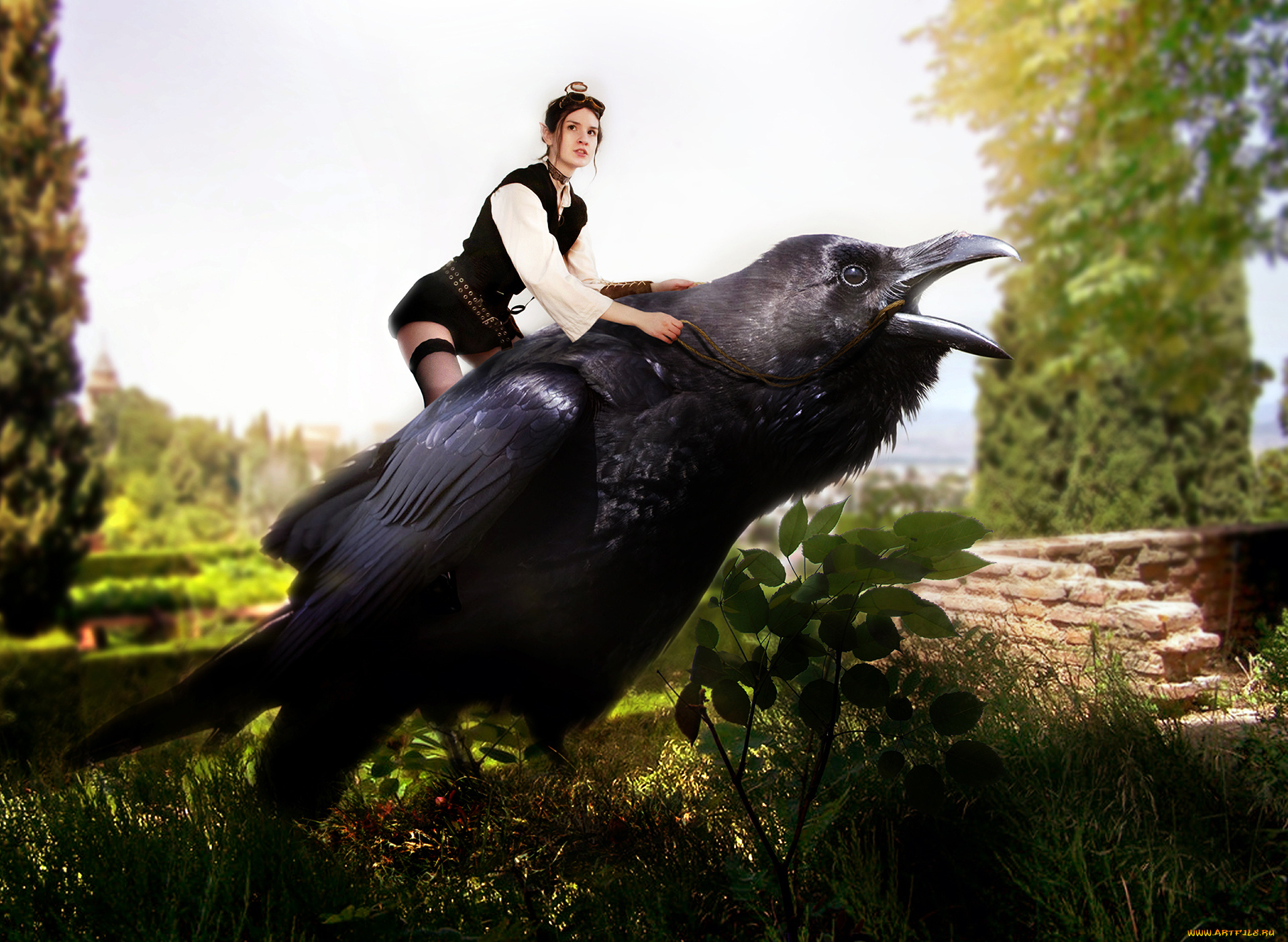 разное, компьютерный, дизайн, птица