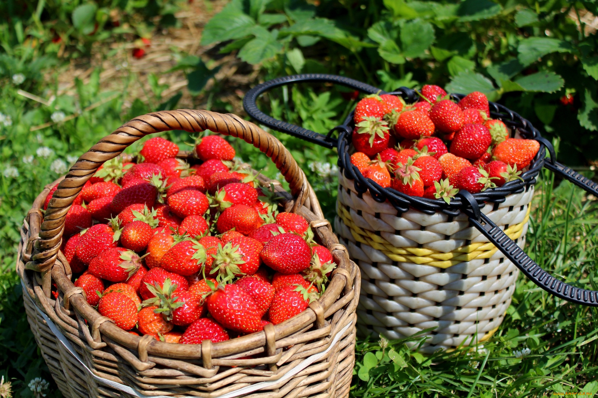 еда, клубника, , земляника, корзины