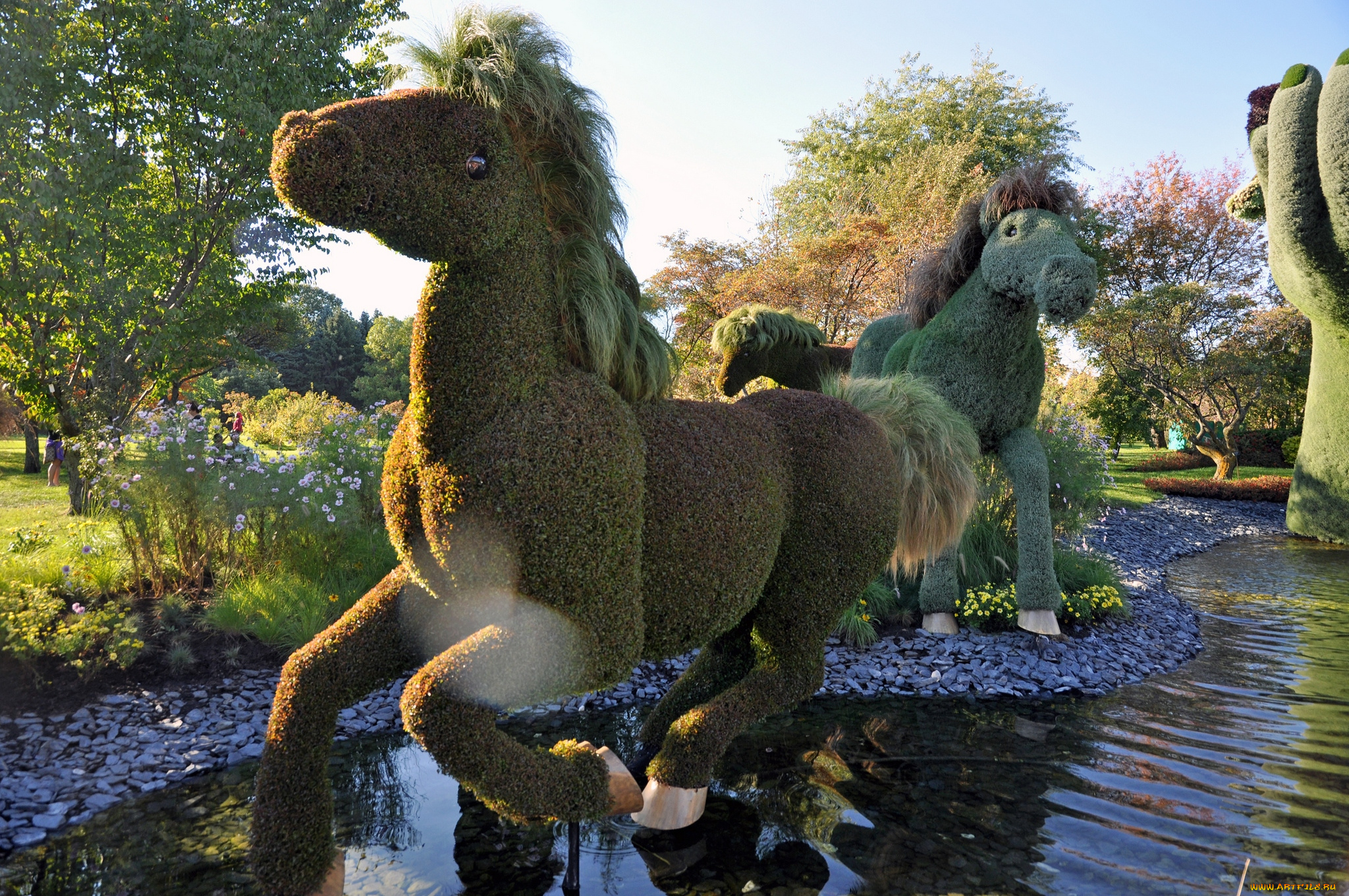 природа, парк, ботанический, выставка, калифорния, сад, квебек, монреаль