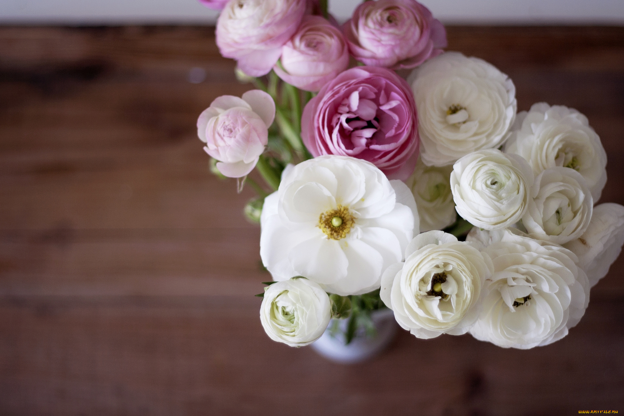 цветы, ранункулюс, , азиатский, лютик, букет