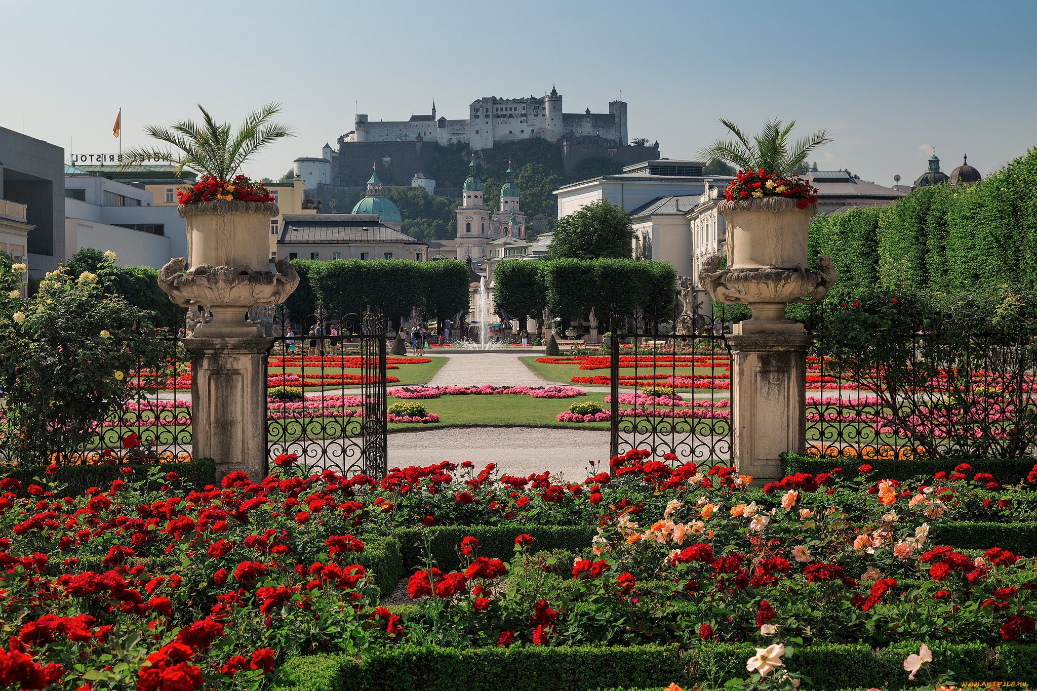 mirabell, palace, gardens, , salzburg, , austria, города, зальцбург, , австрия, austria, клумбы, salzburg, сад, дворца, мирабель, зальцбург, hohensalzburg, castle, крепость, хоэнзальцбург, mirabell, palace, gardens, цветы