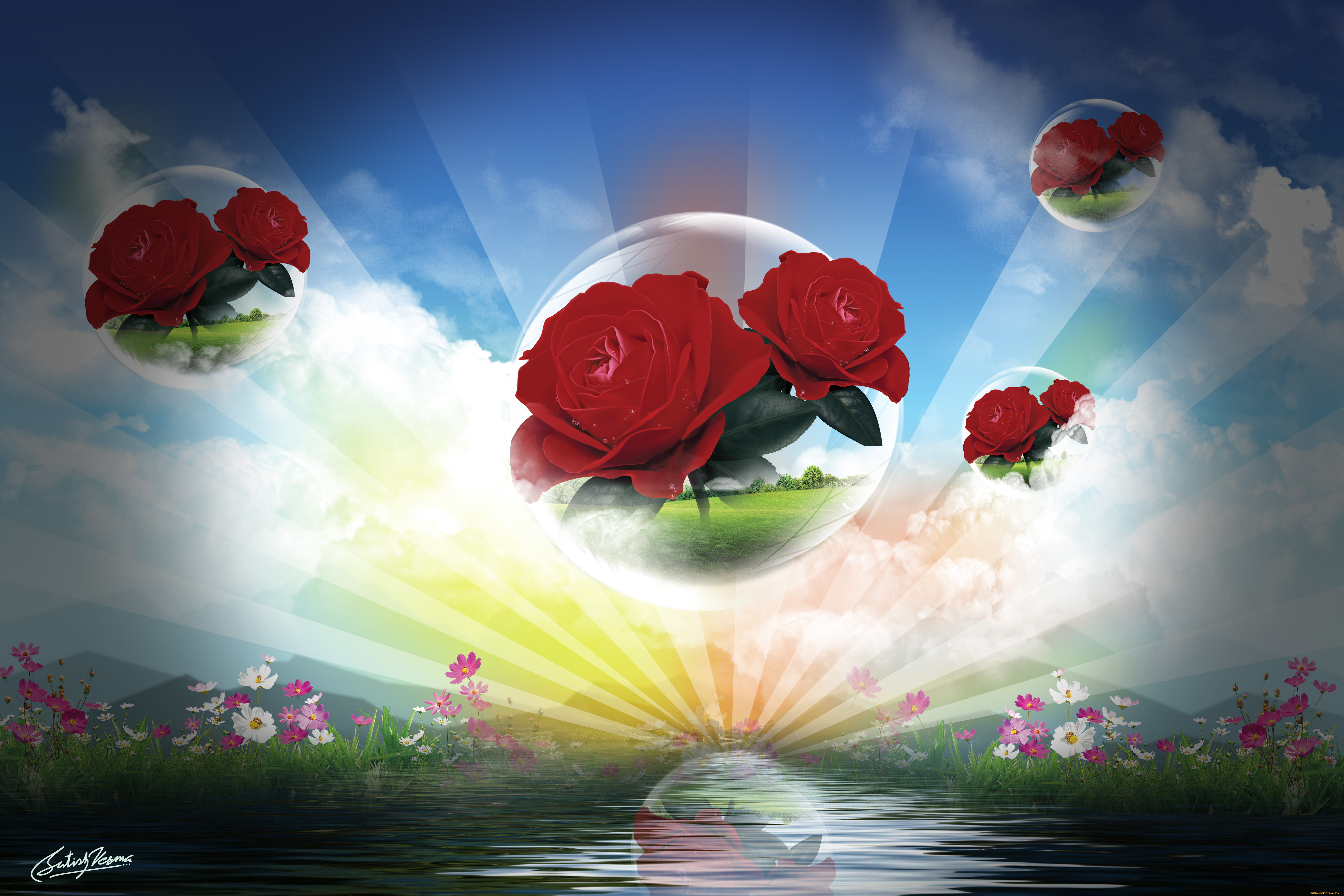 разное, компьютерный, дизайн, розы, лучи, облака