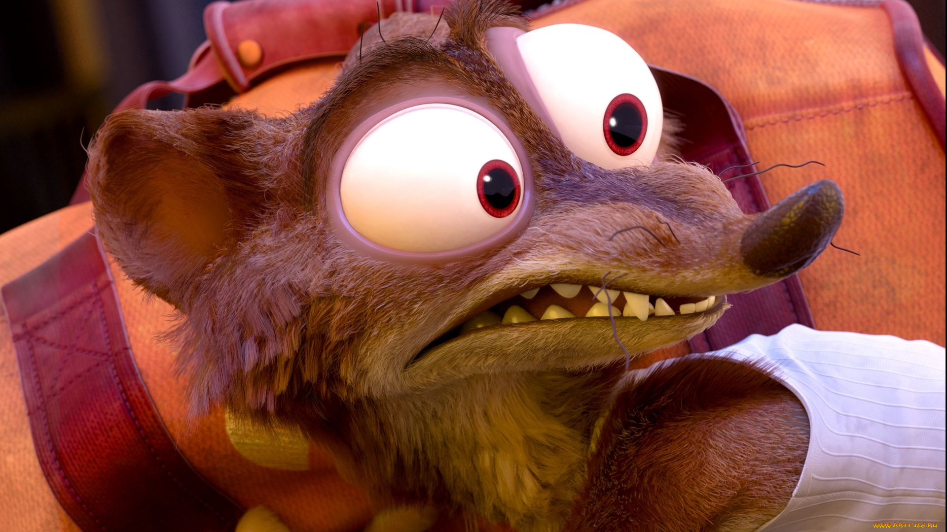 мультфильмы, zootopia, персонаж