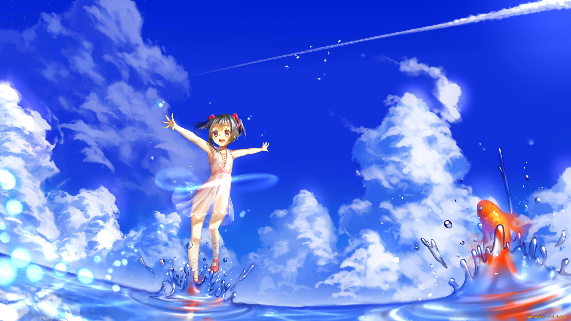 аниме, love, live, , school, idol, project, yazawa, nico